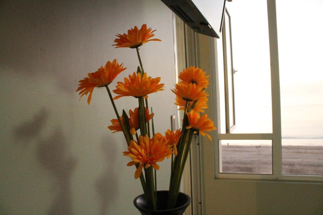 Photo 27