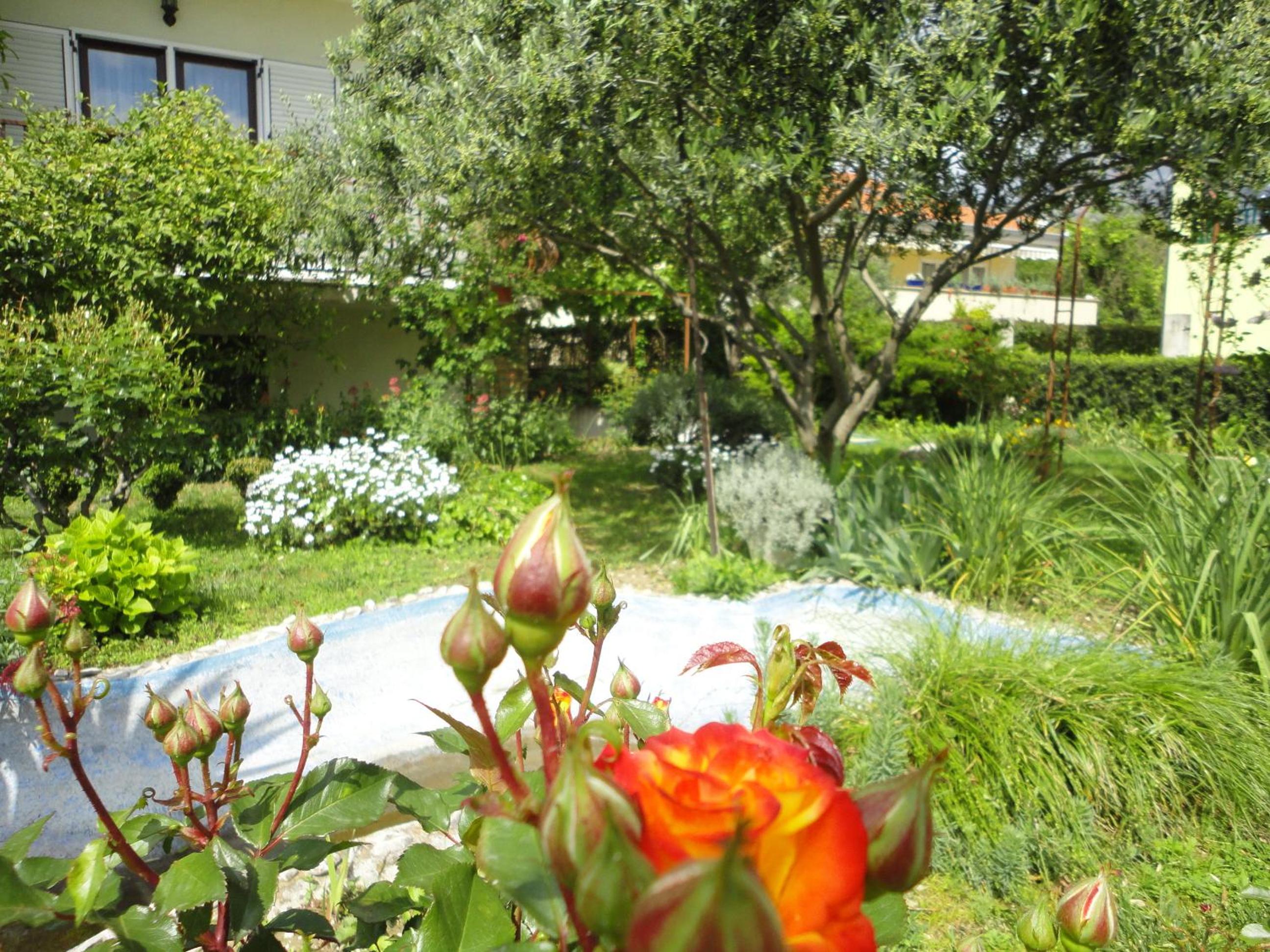 Apartments Maletić view 4
