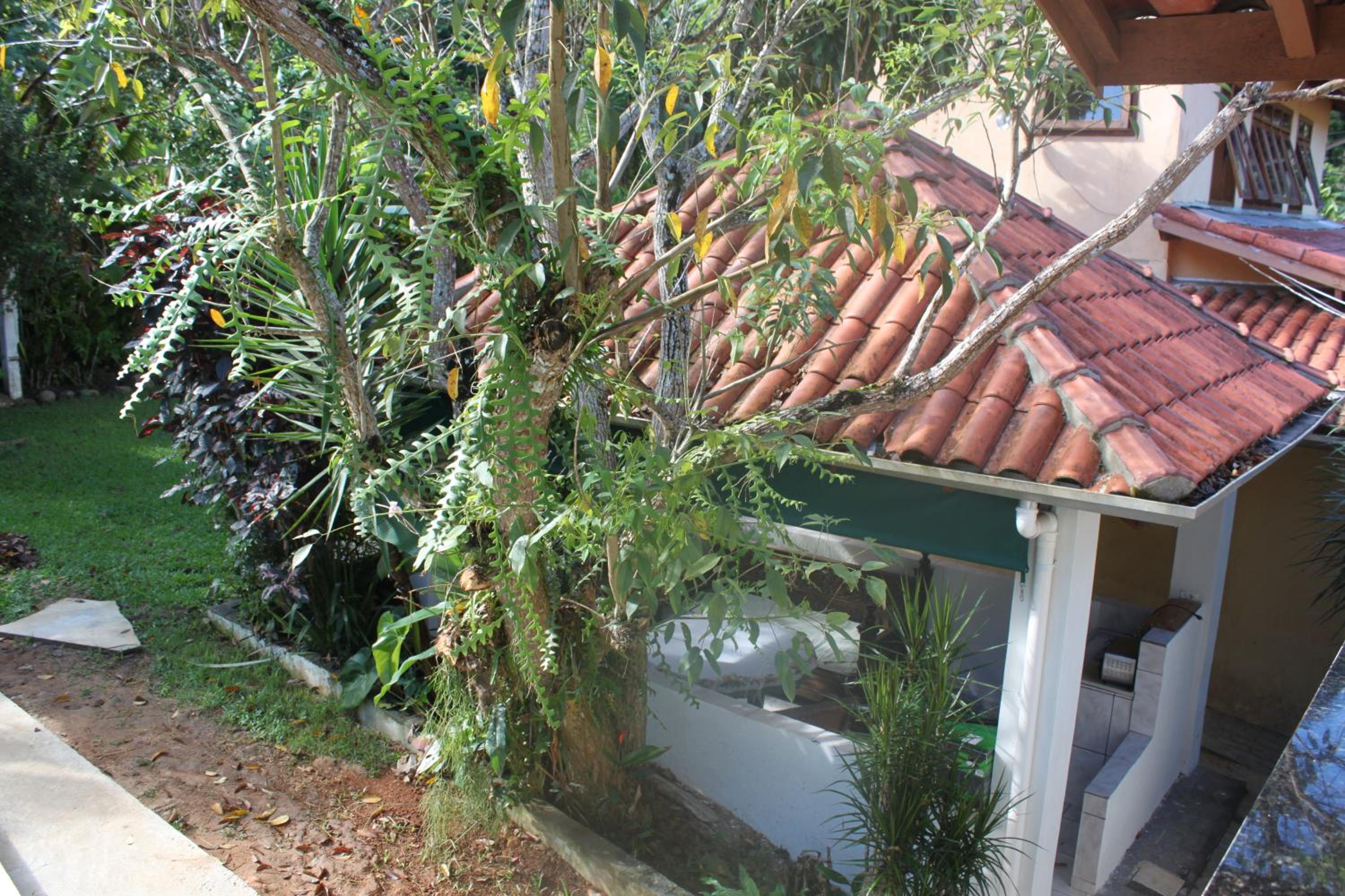 Piscina climatizada, jacuzzi e com grande área verde
