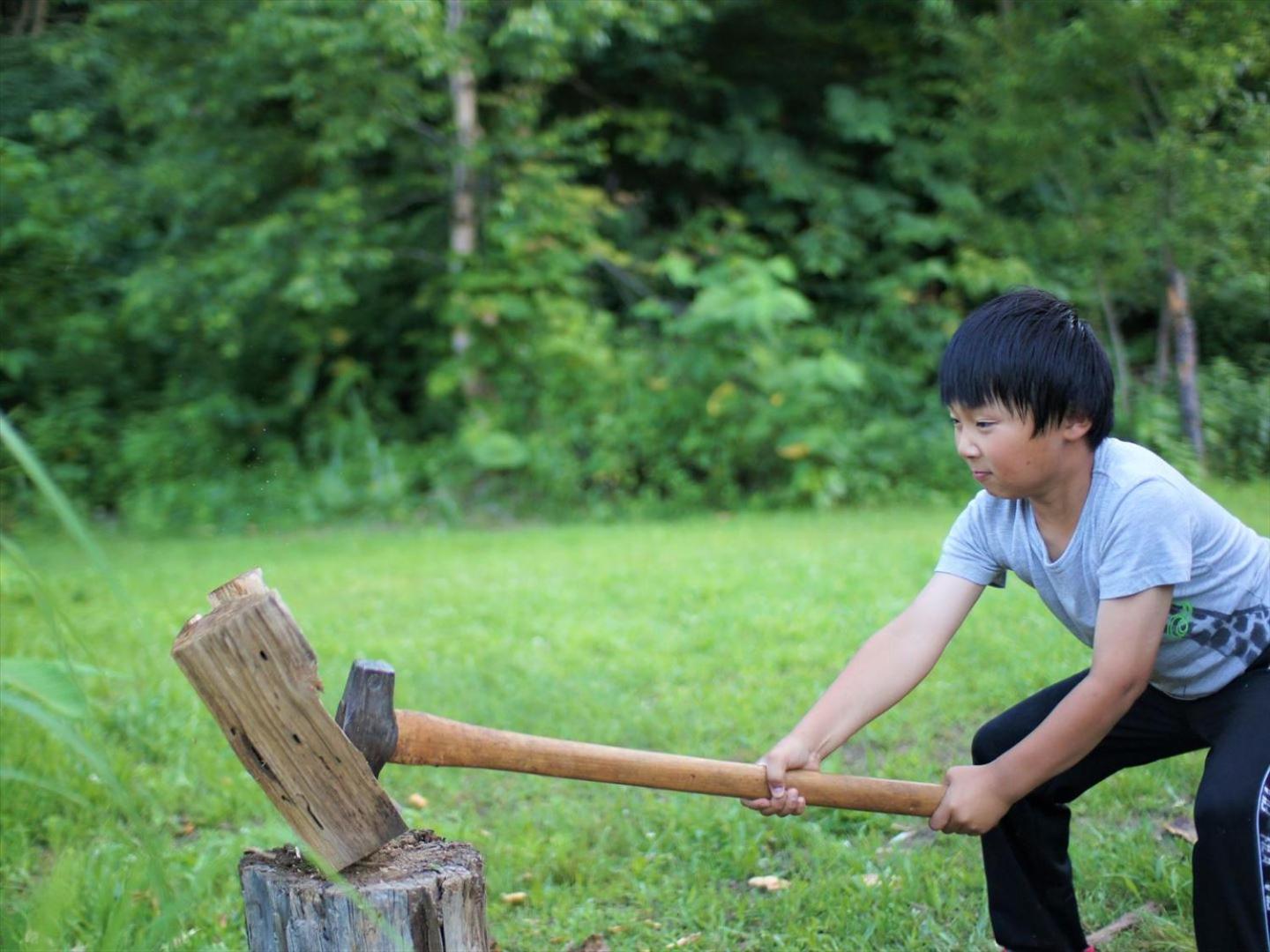 Photo 44