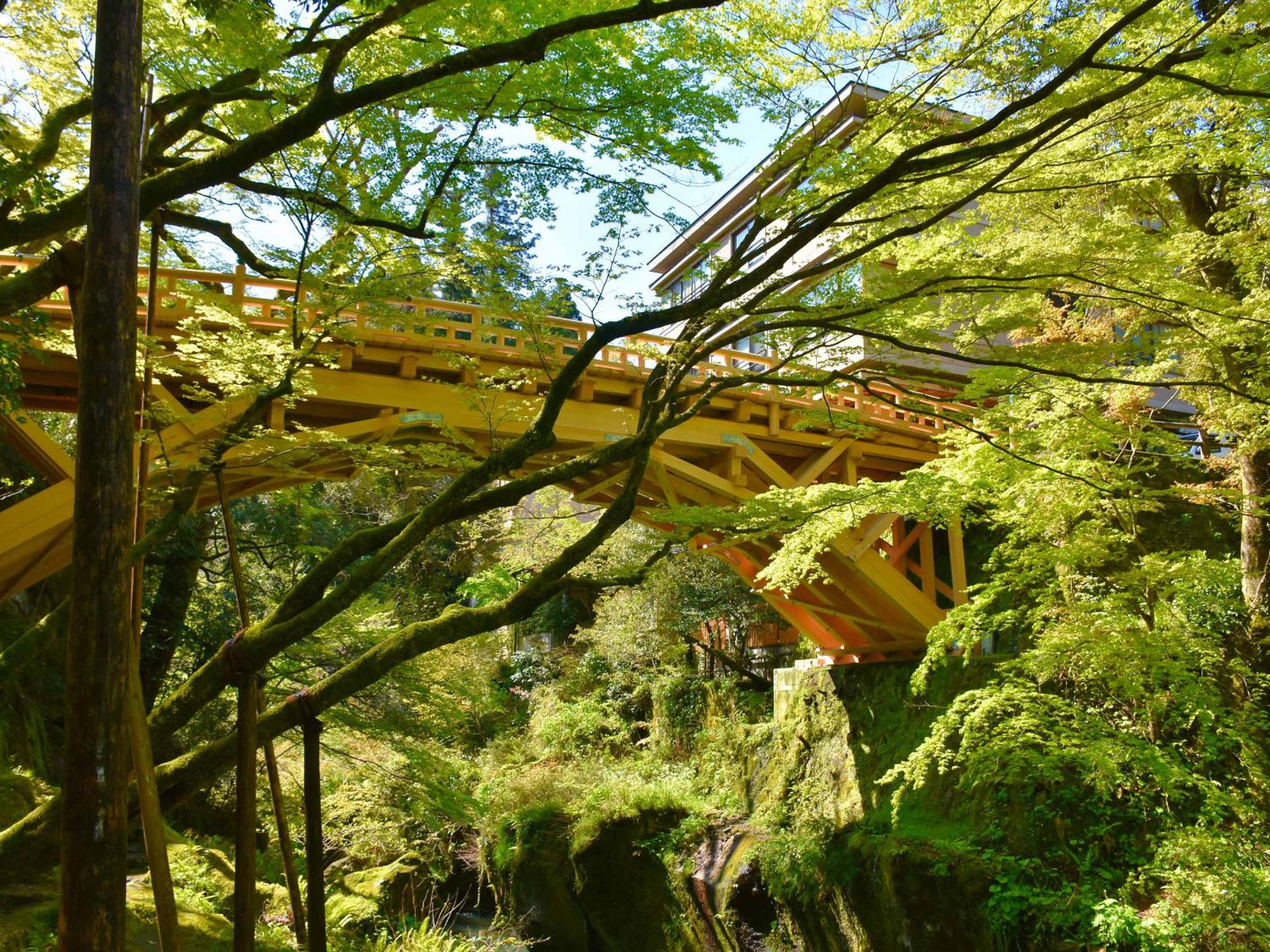 Ooedo Onsen Monogatari Premium Yamanaka Grand Hotel