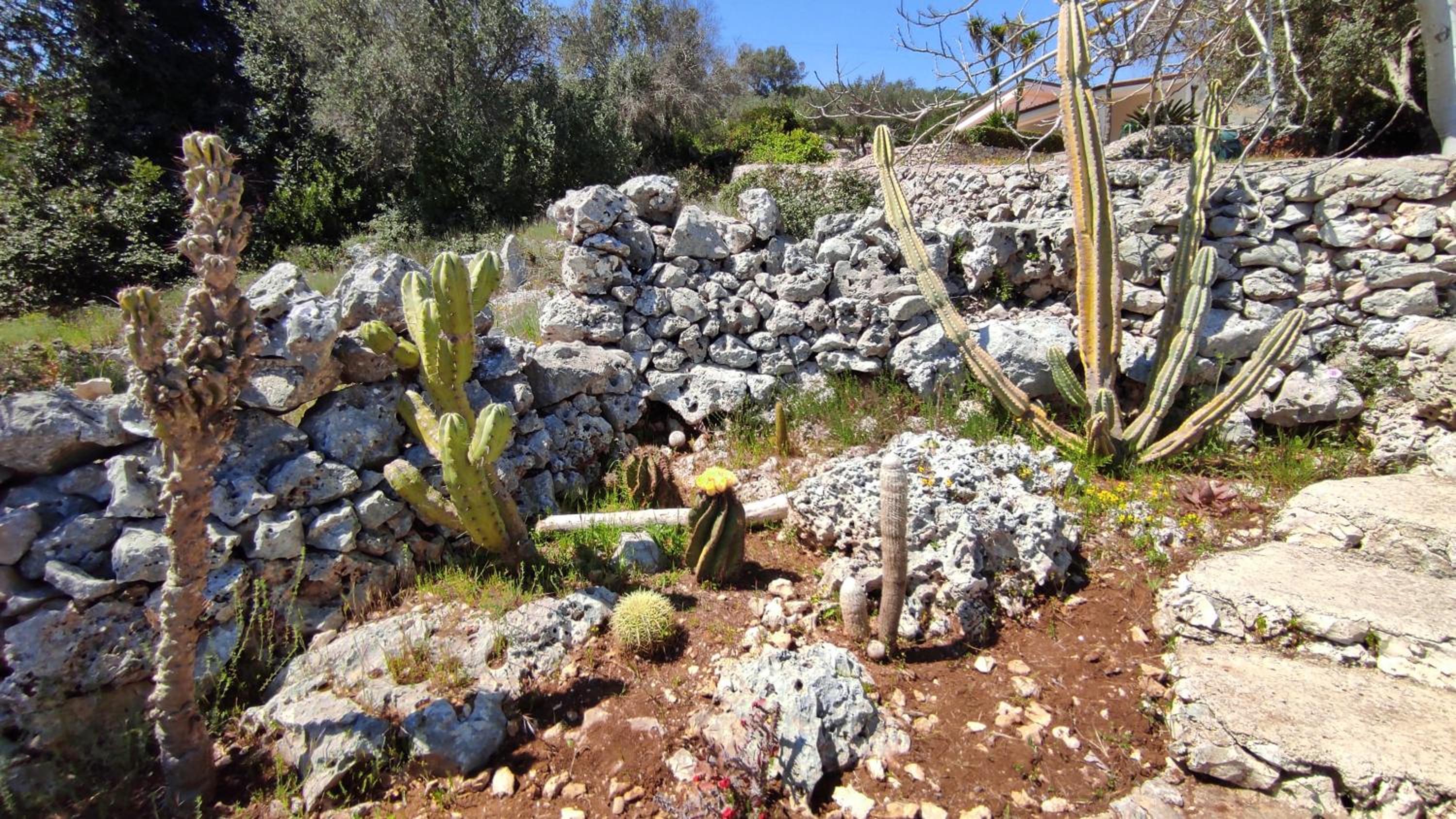 Photo 35