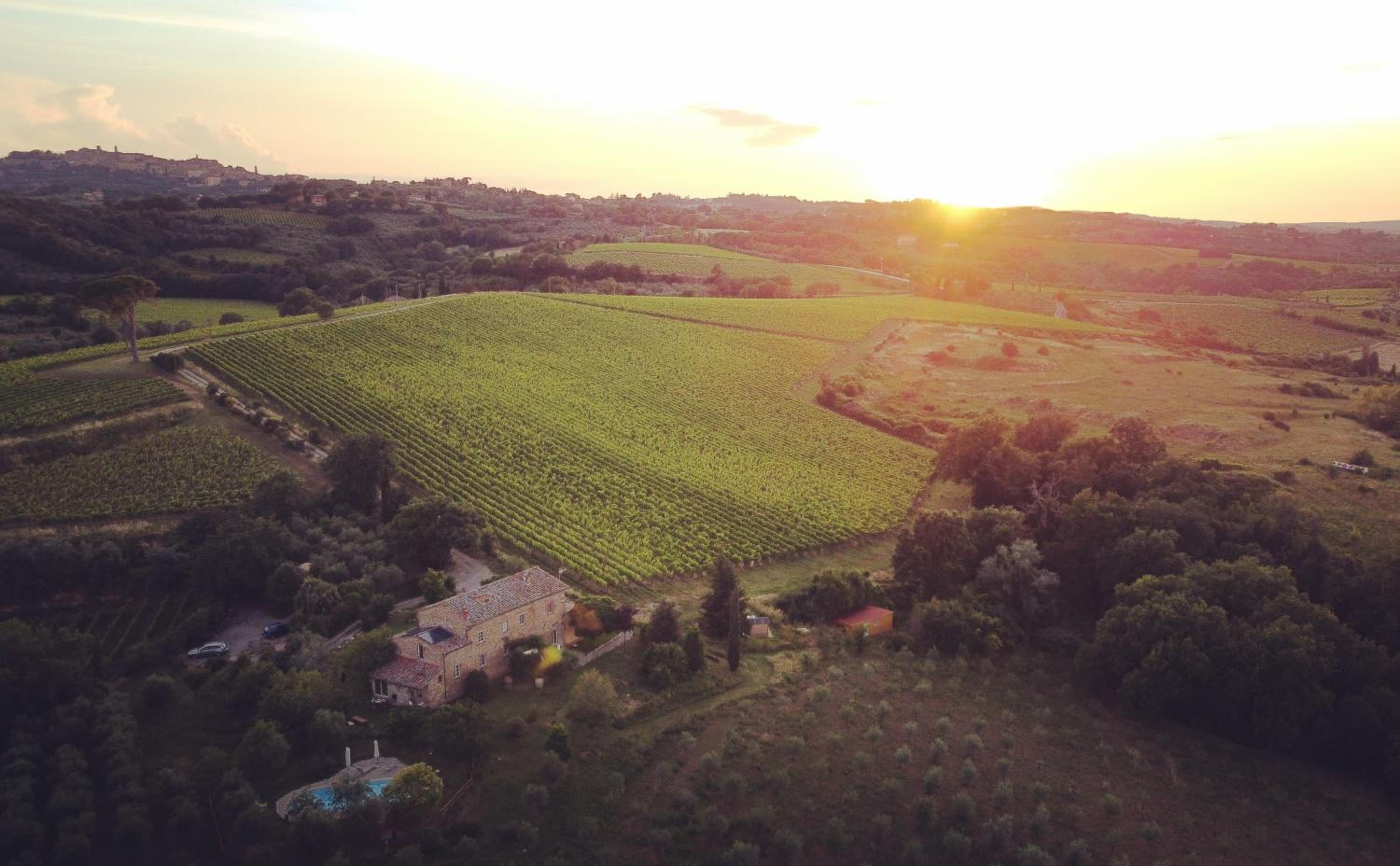 La Falconara view 2
