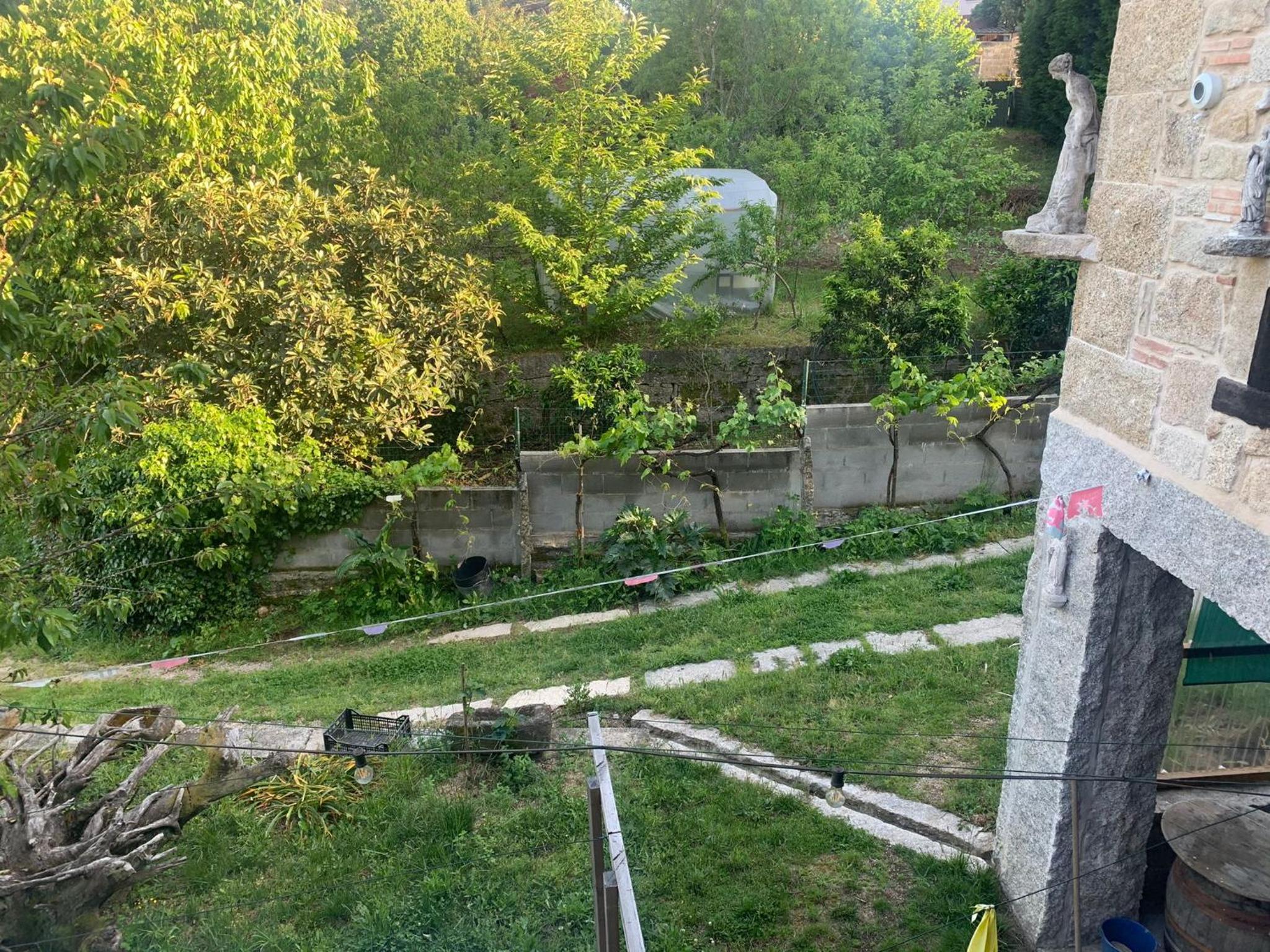 Photo 31