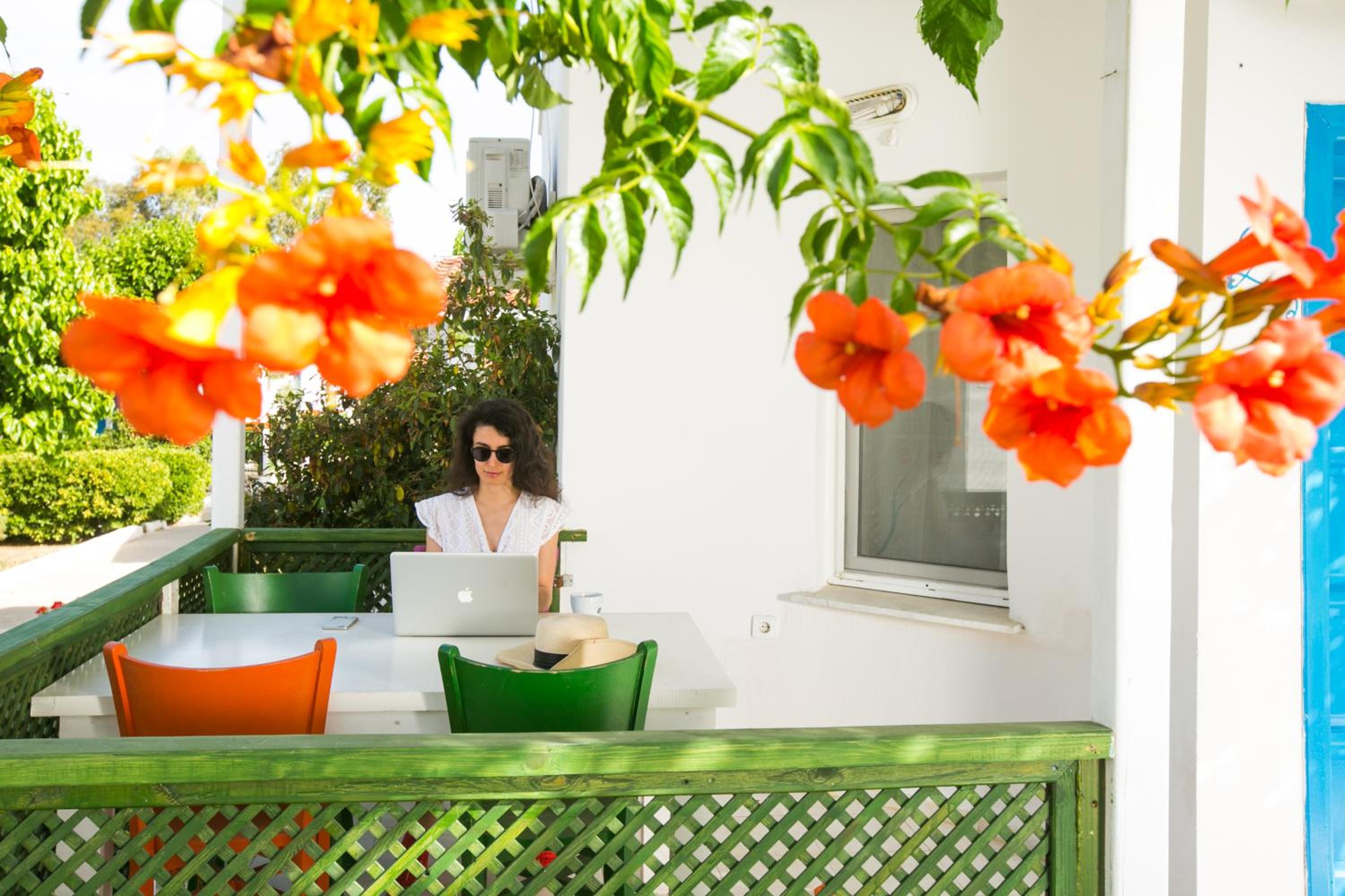 Teos Ormanci Tatil Koyu view 3