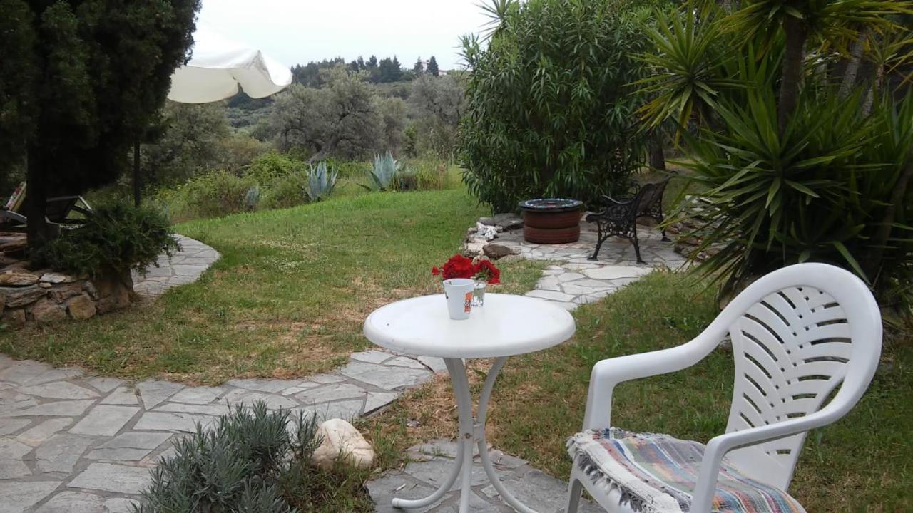 Photo 19