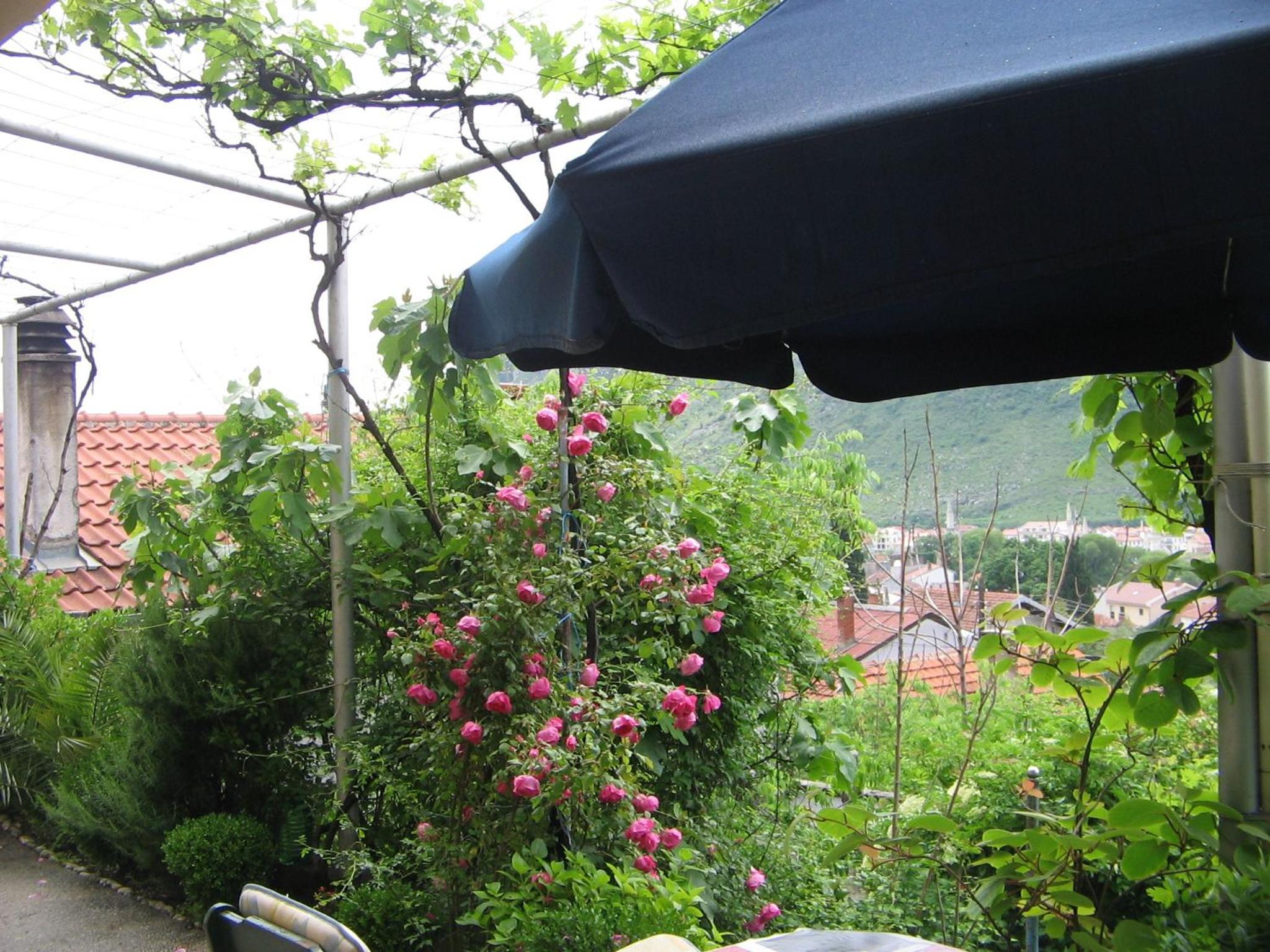Guesthouse Panorama