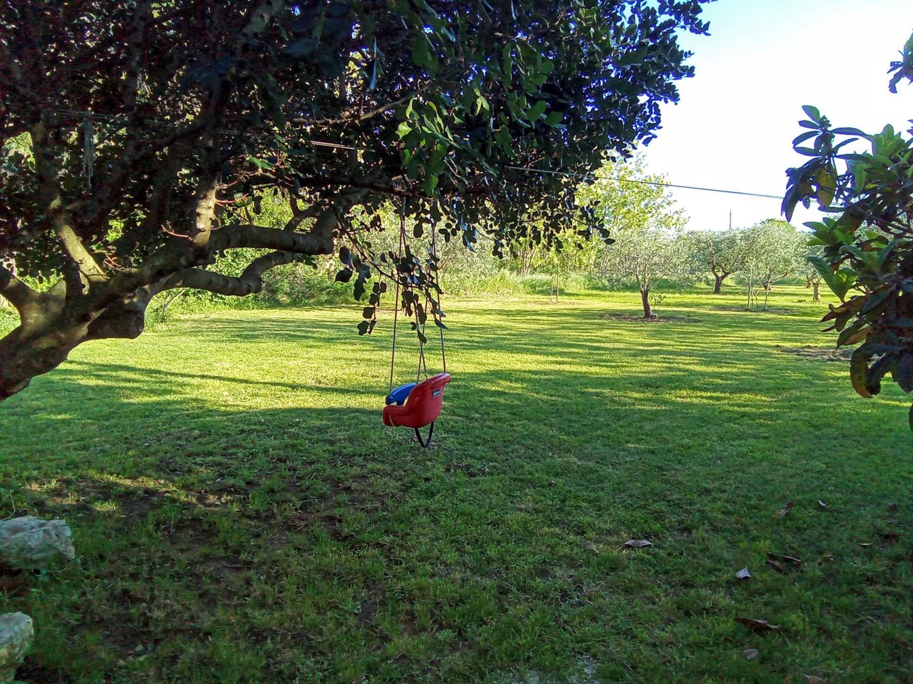 Photo 37