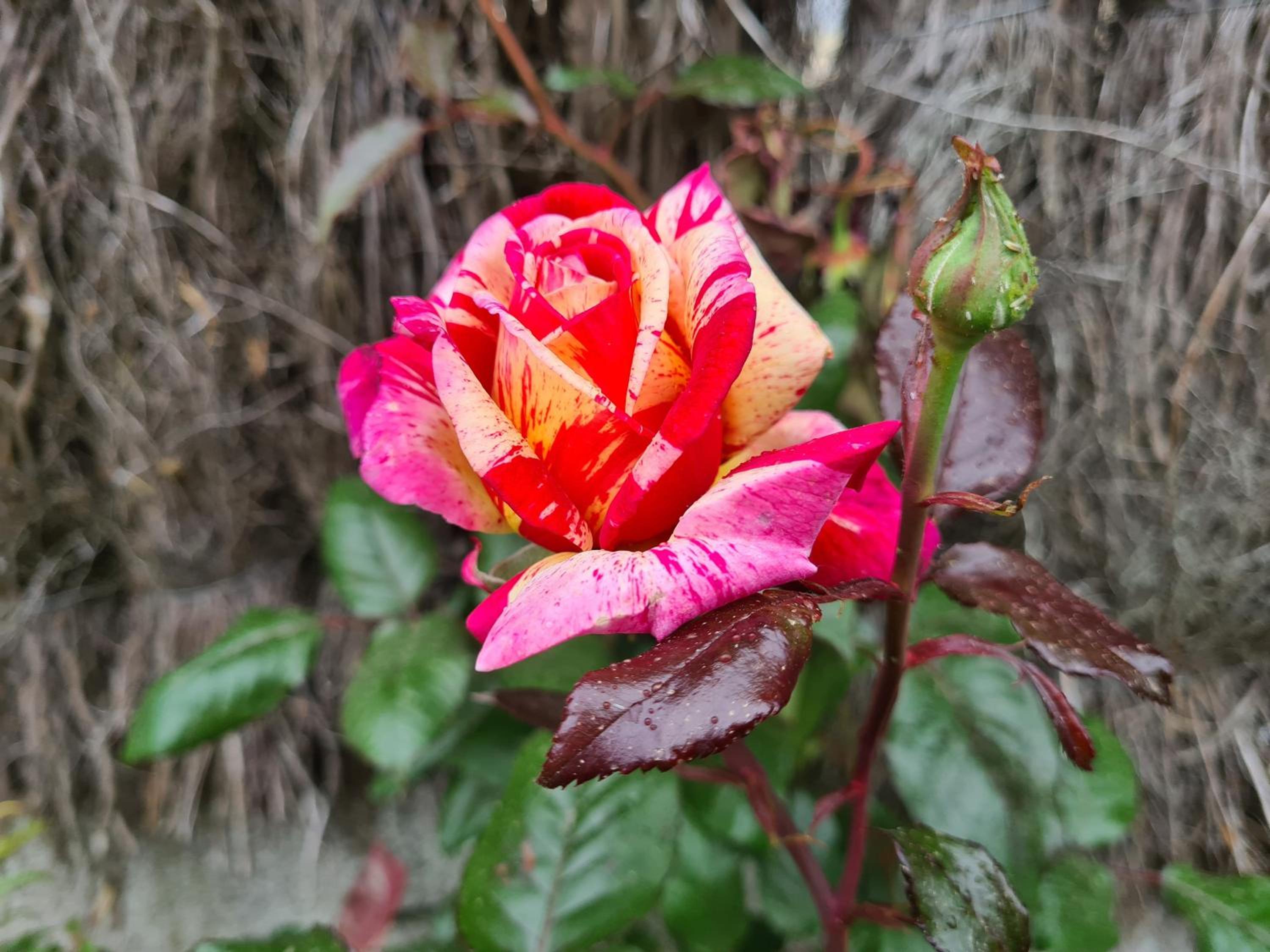 initial by balladins Bordeaux / Eysines - Property Image 2