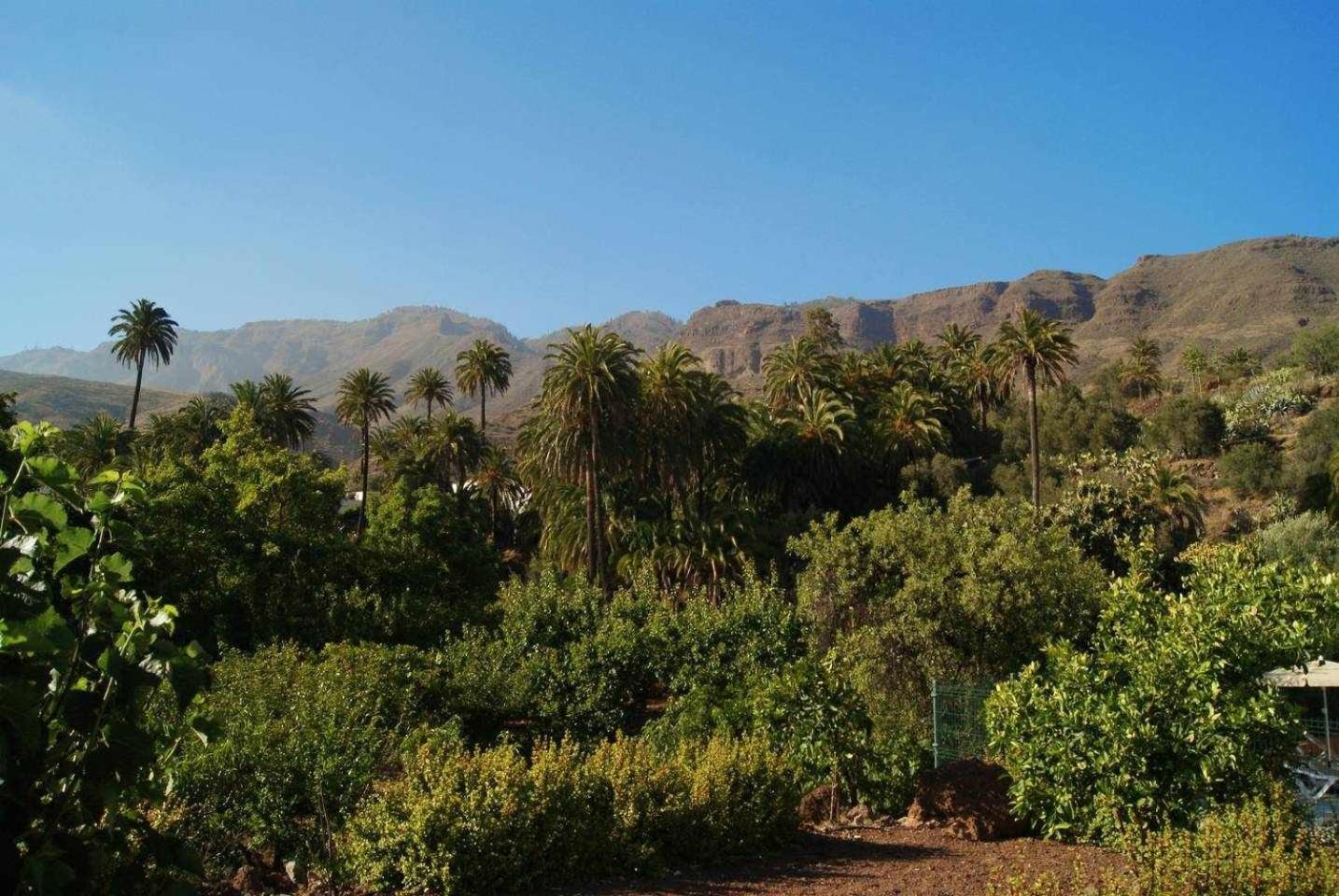 Casa Rural La Fuente de la Flora