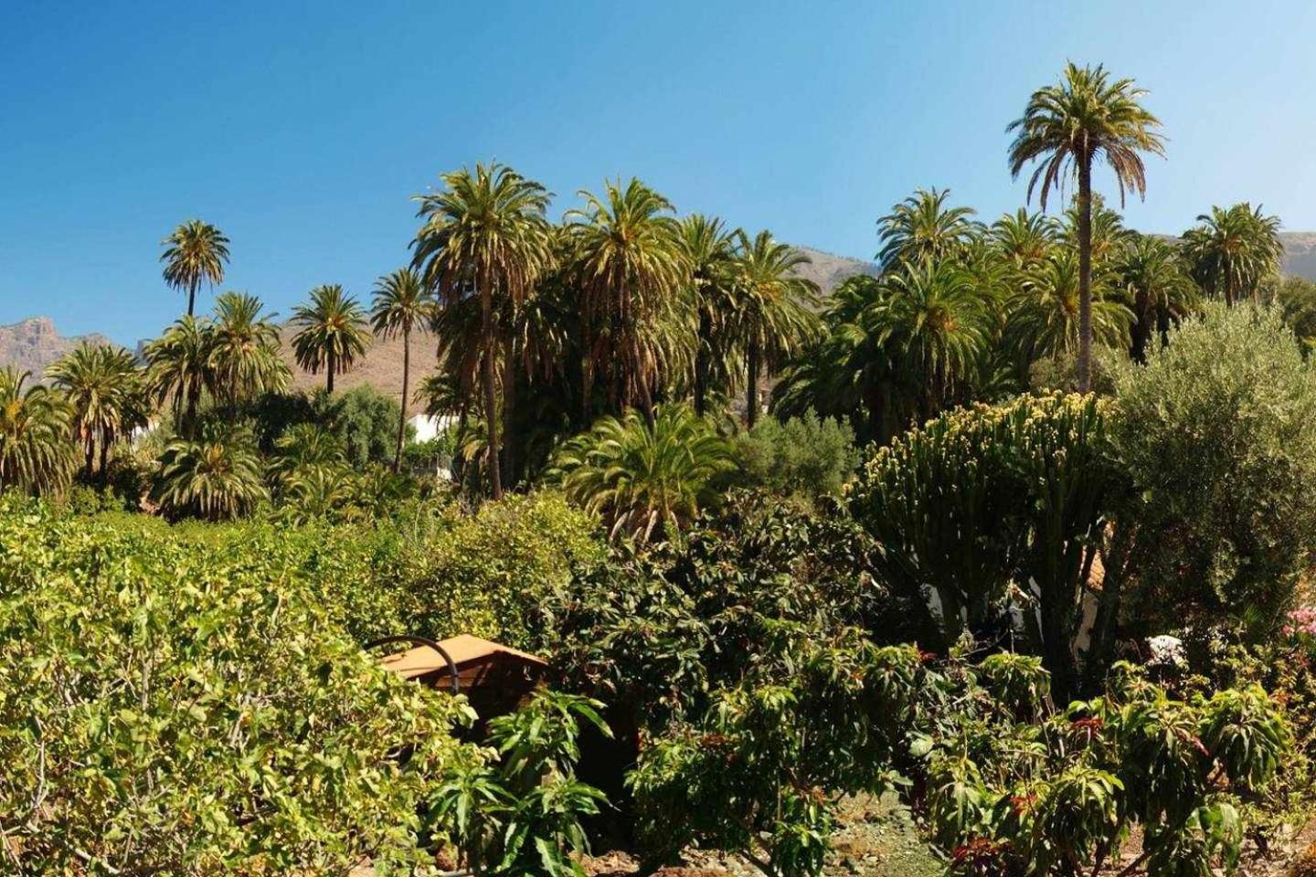Casa Rural La Fuente de la Flora