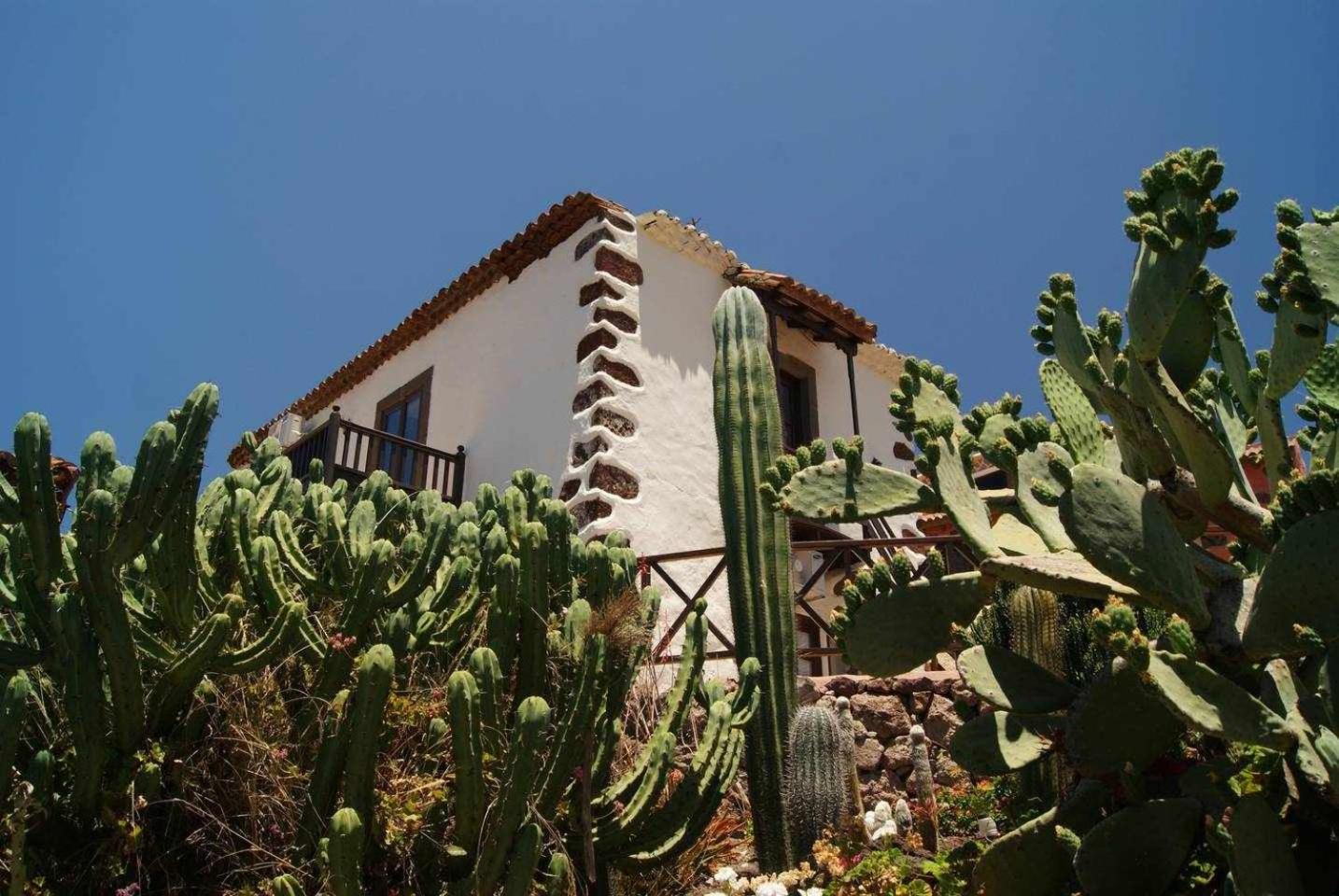 Casa rural El Olivar - La Molienda