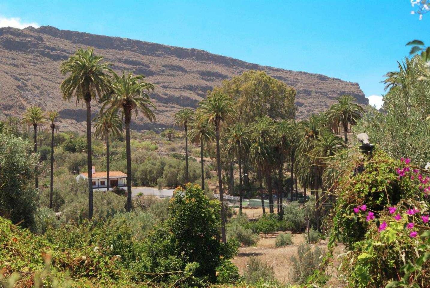 Casa rural El Olivar - La Molienda