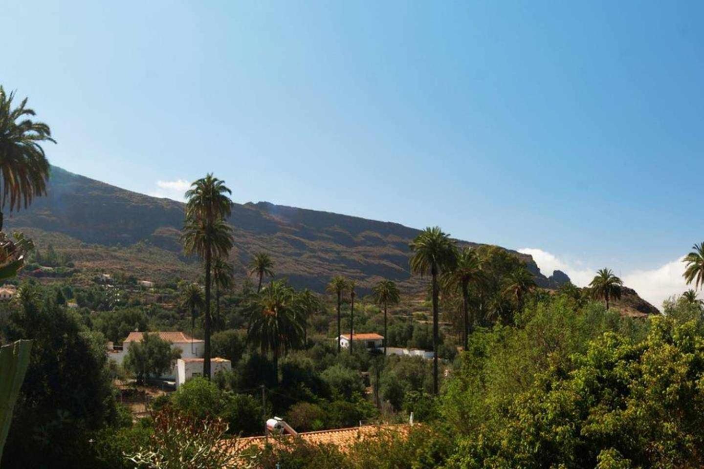 Casa Rural El Olivar - La Almazara