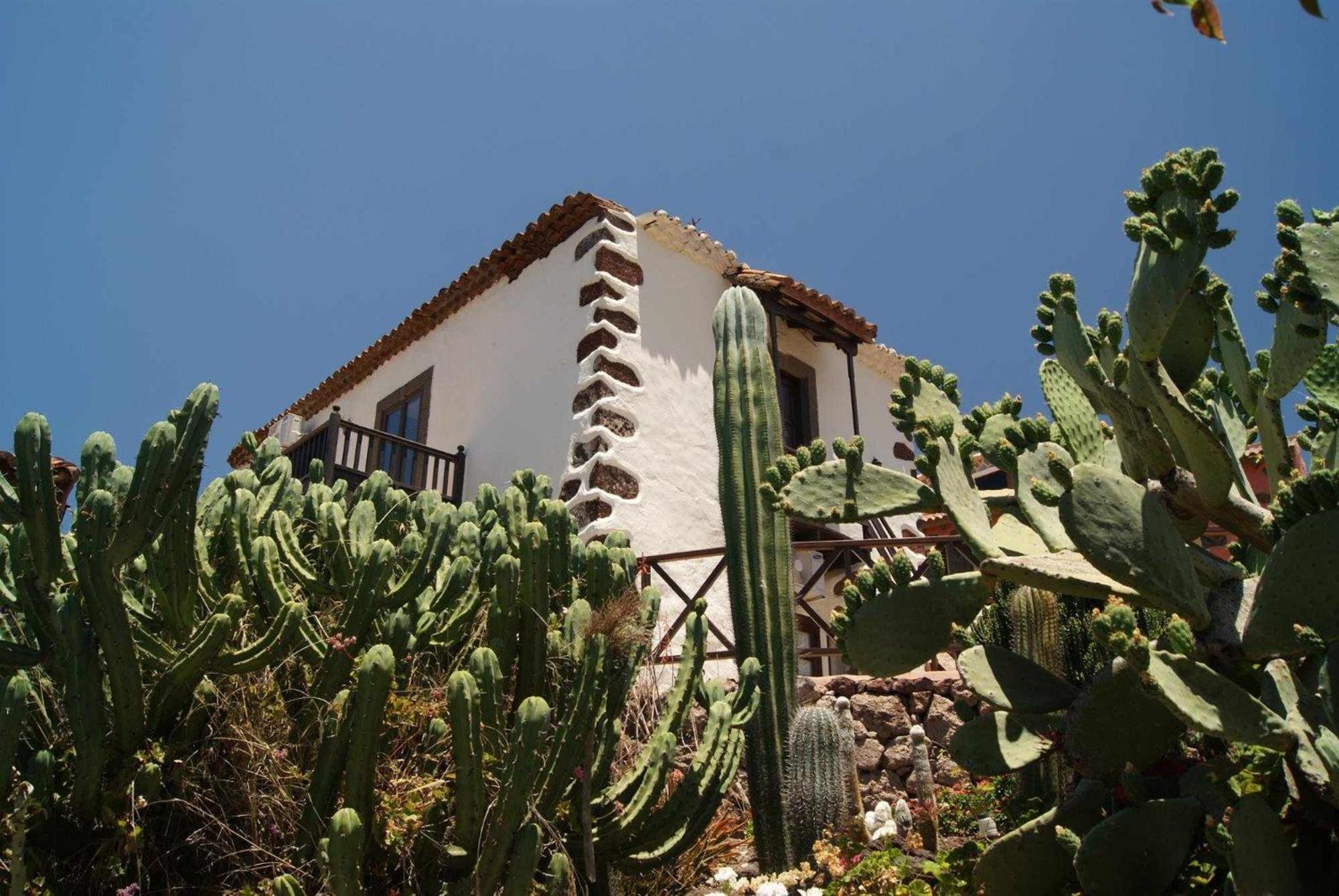 Casa rural El Olivar - La Molienda