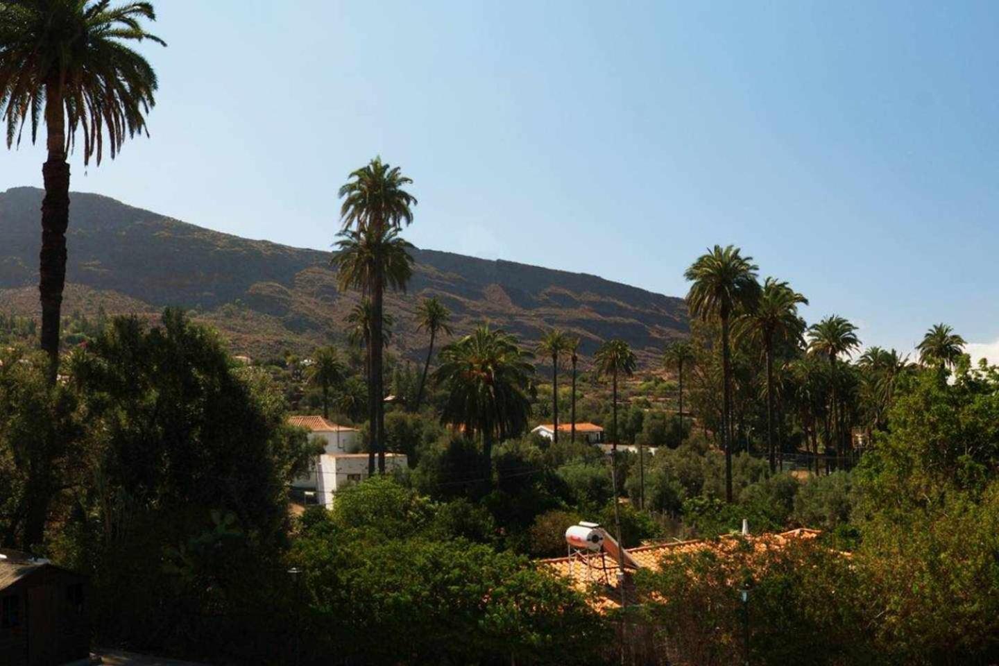 Casa rural El Olivar - La Molienda