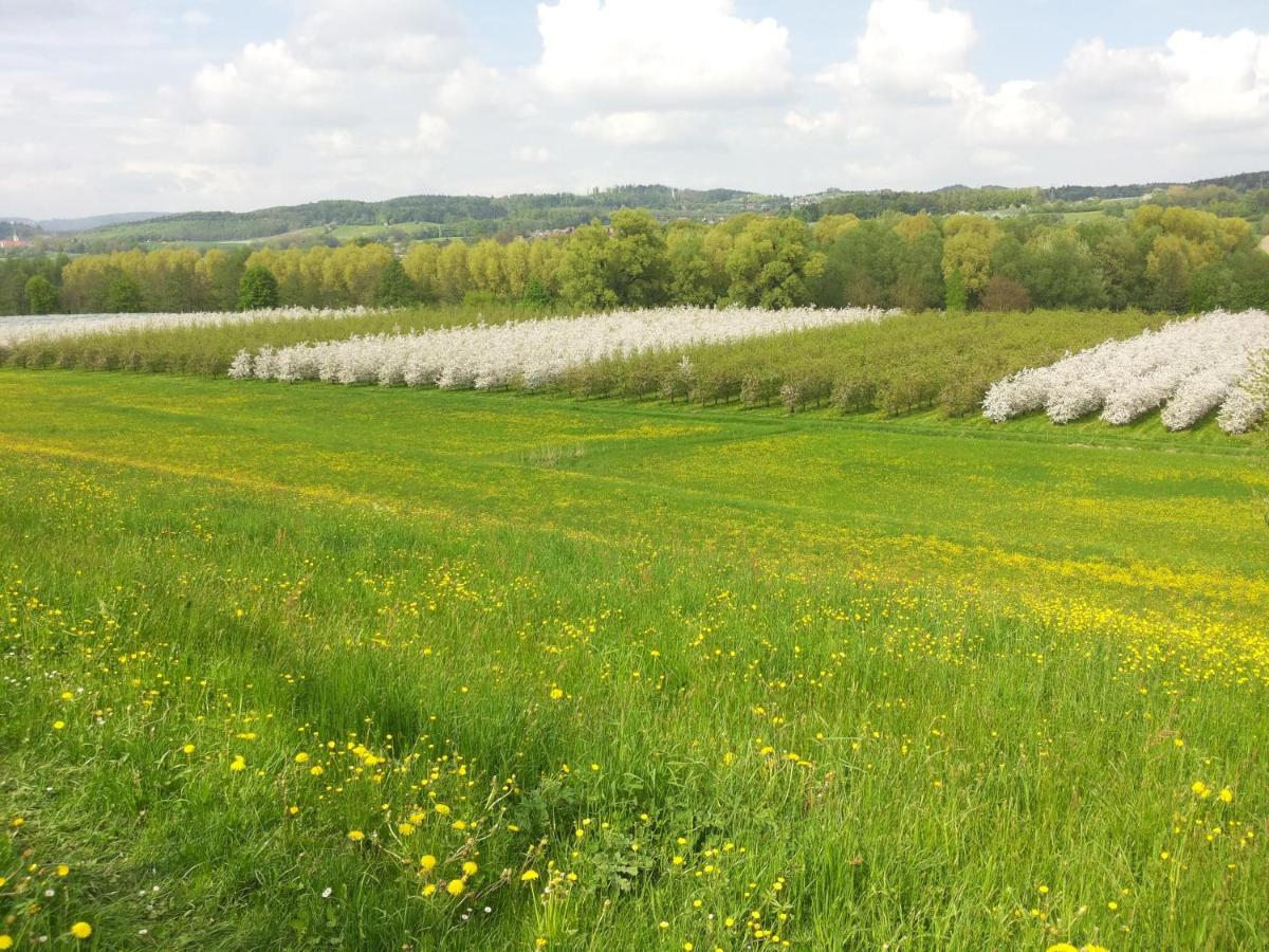 Ferienhof Dachsberg Weitblick