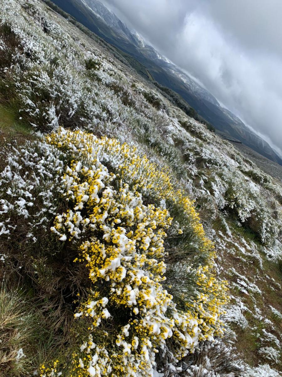 la cabaña de gredos photo 2