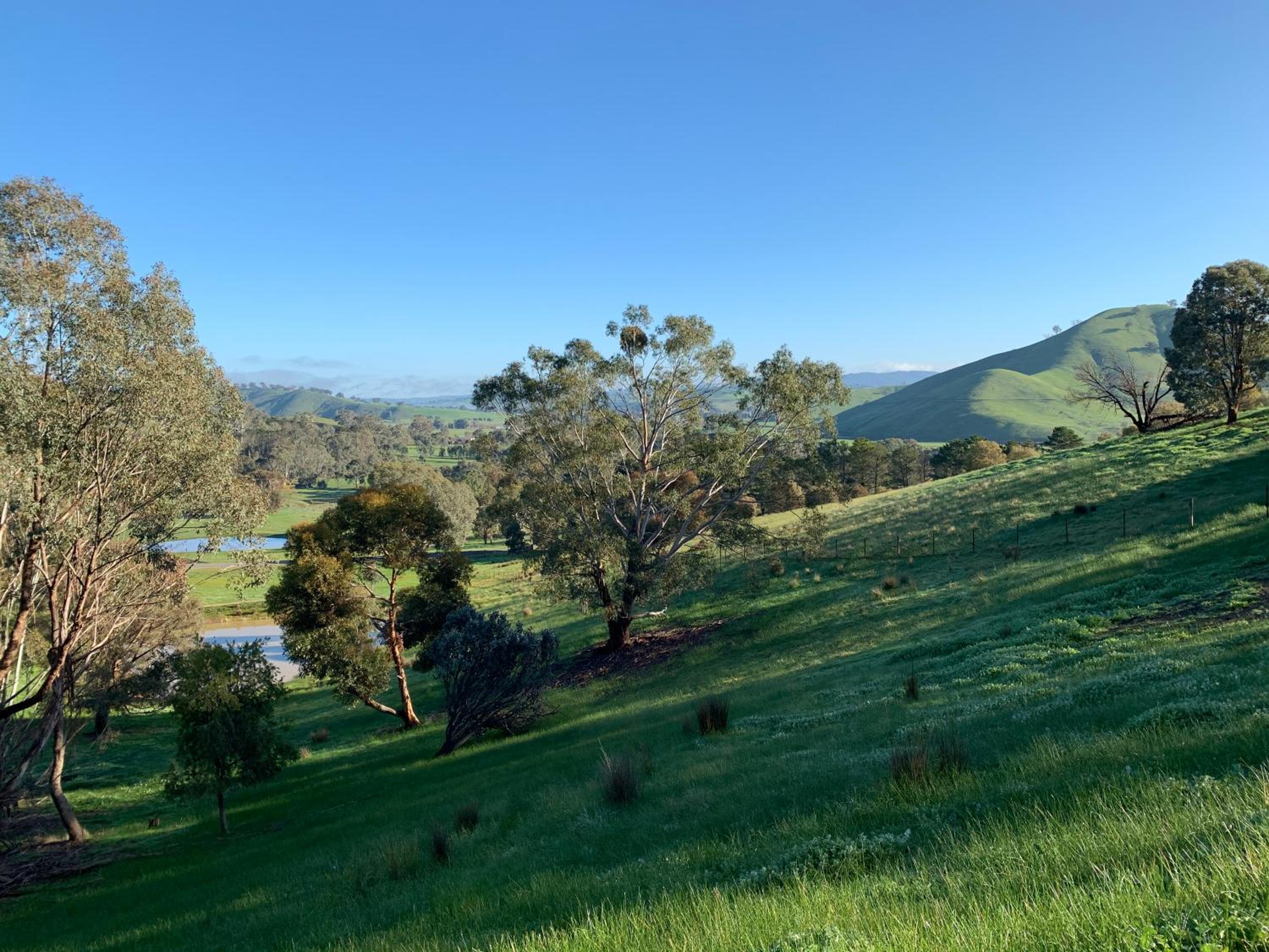 Omaroo High Country Retreat