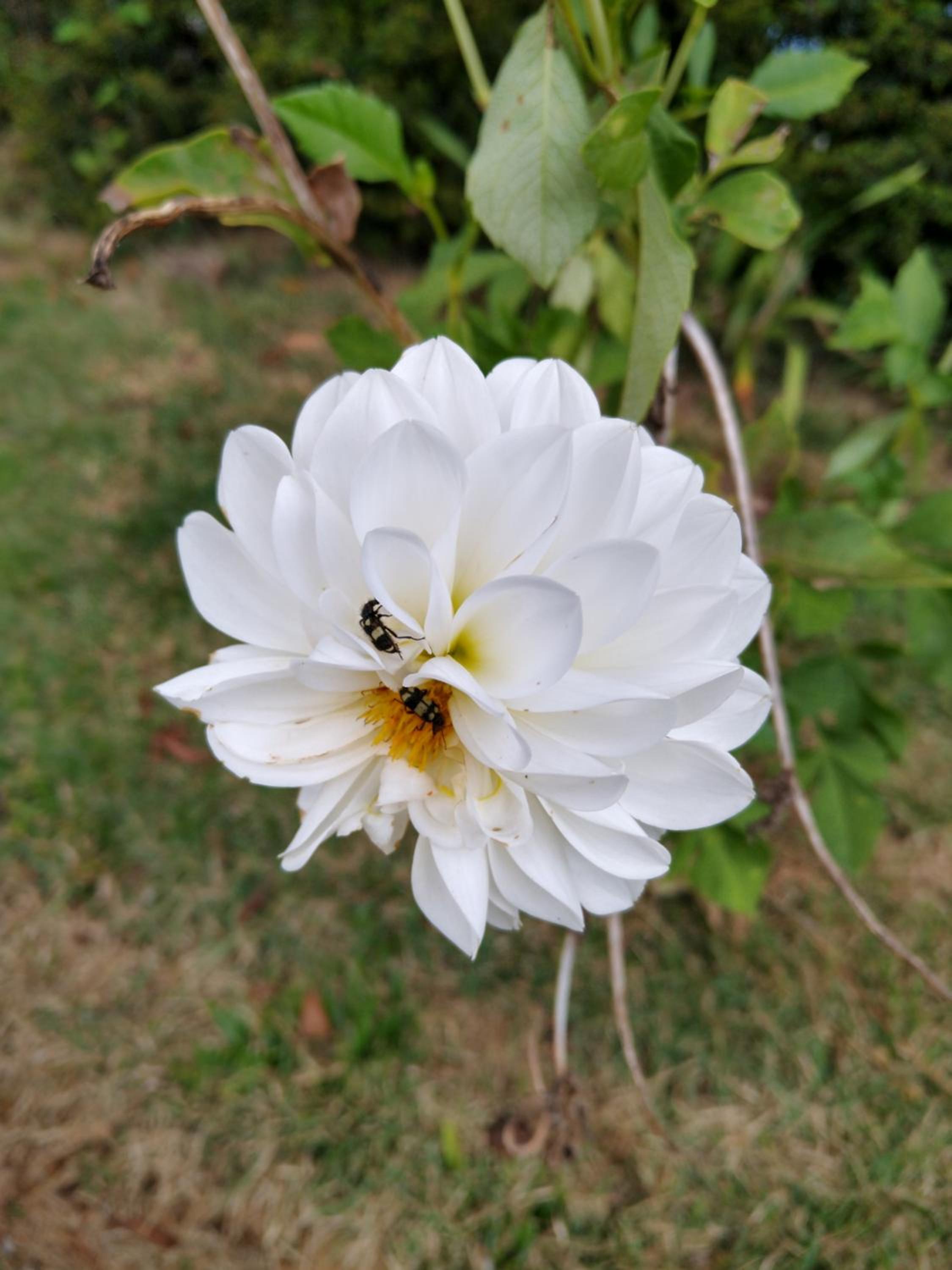 Recanto das Videiras, photo 95