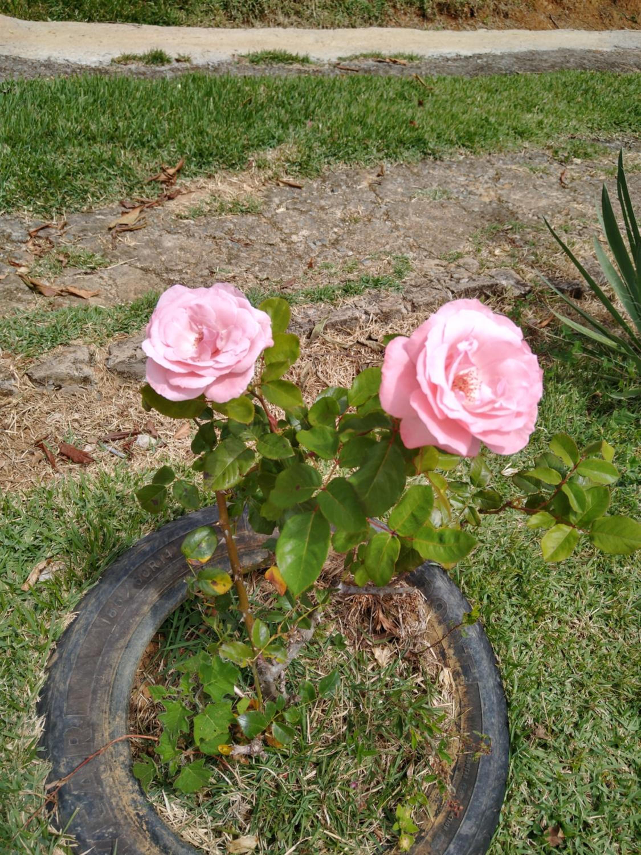 Recanto das Videiras, photo 96