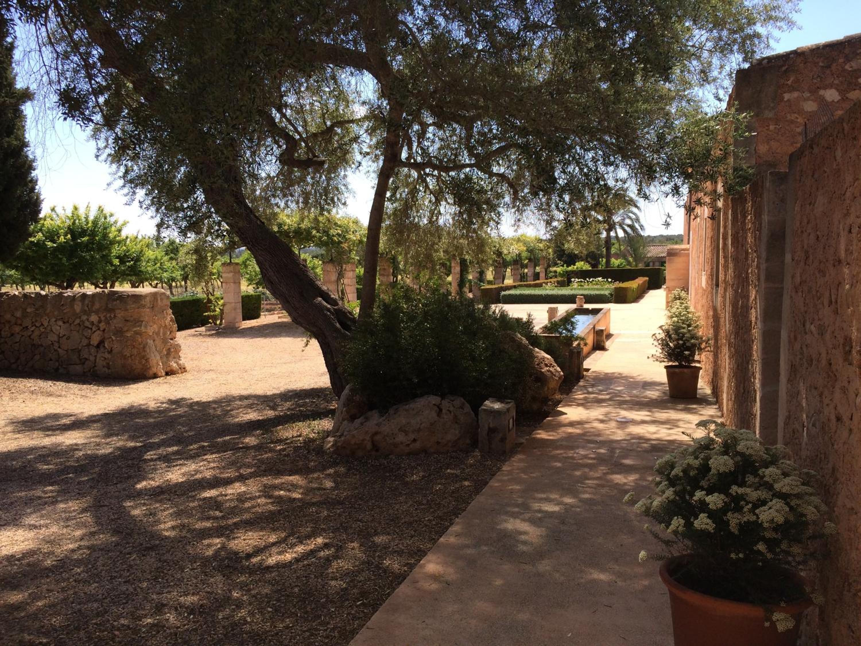 Son Bernadinet — photo 4