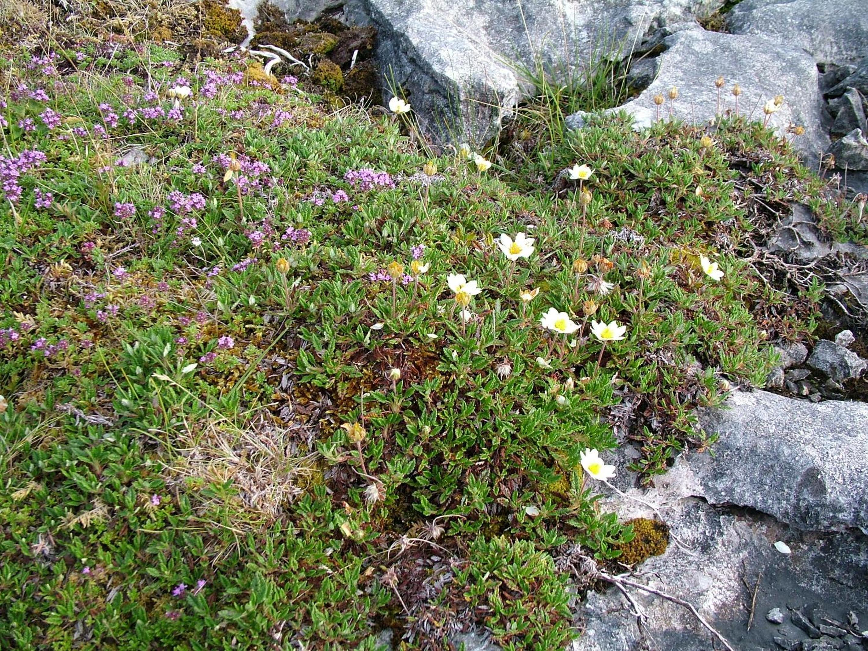 Photo 41