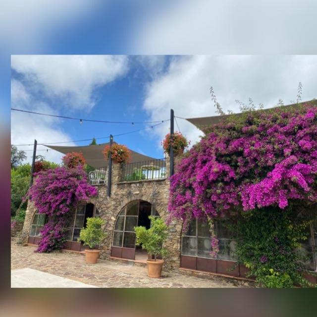 Finca Bell-Lloc