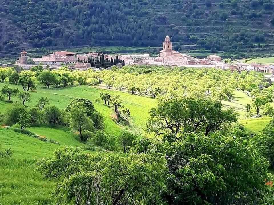 Las Moradas Del Temple