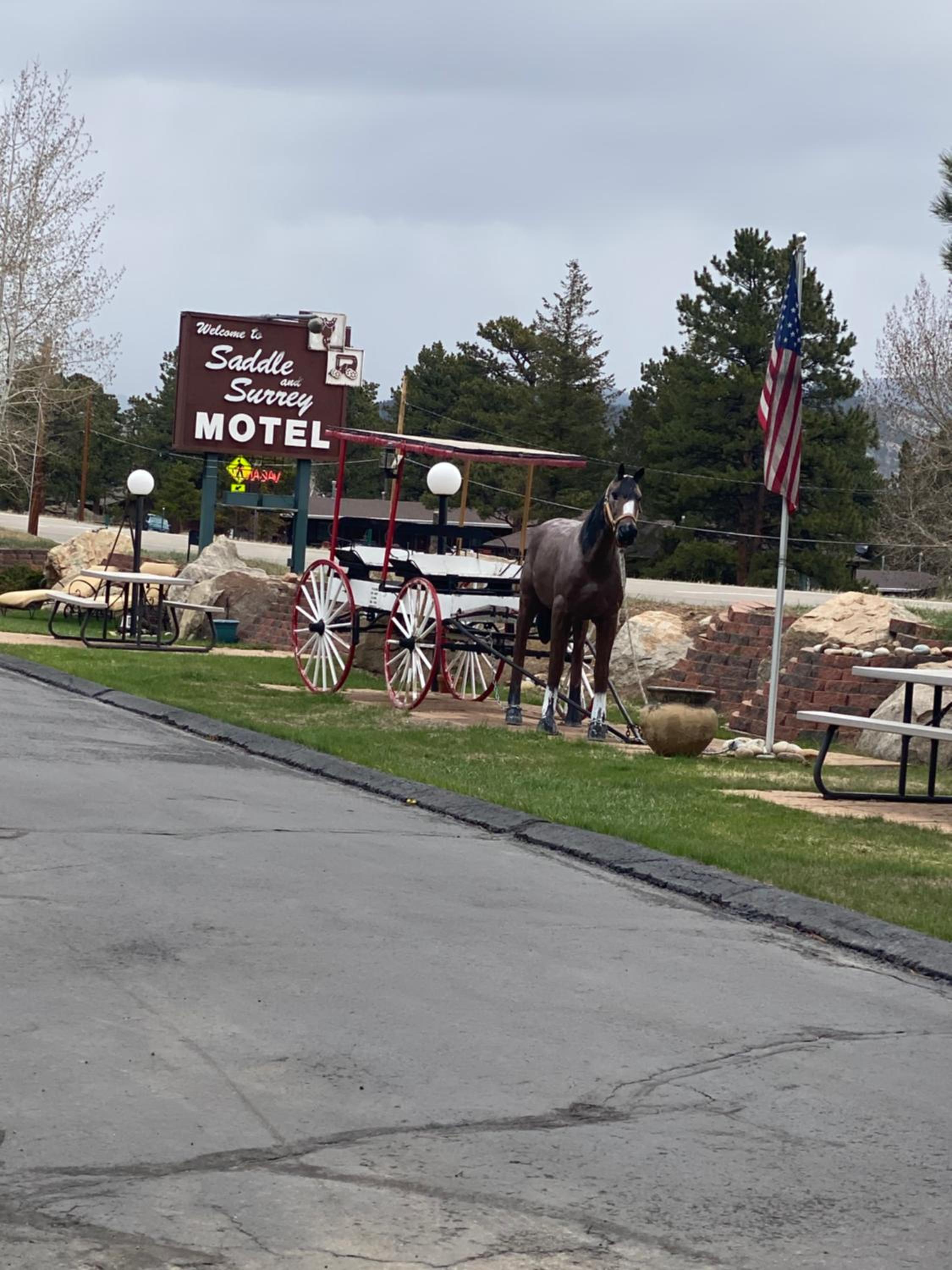 Hotel Saddle & Surrey Motel