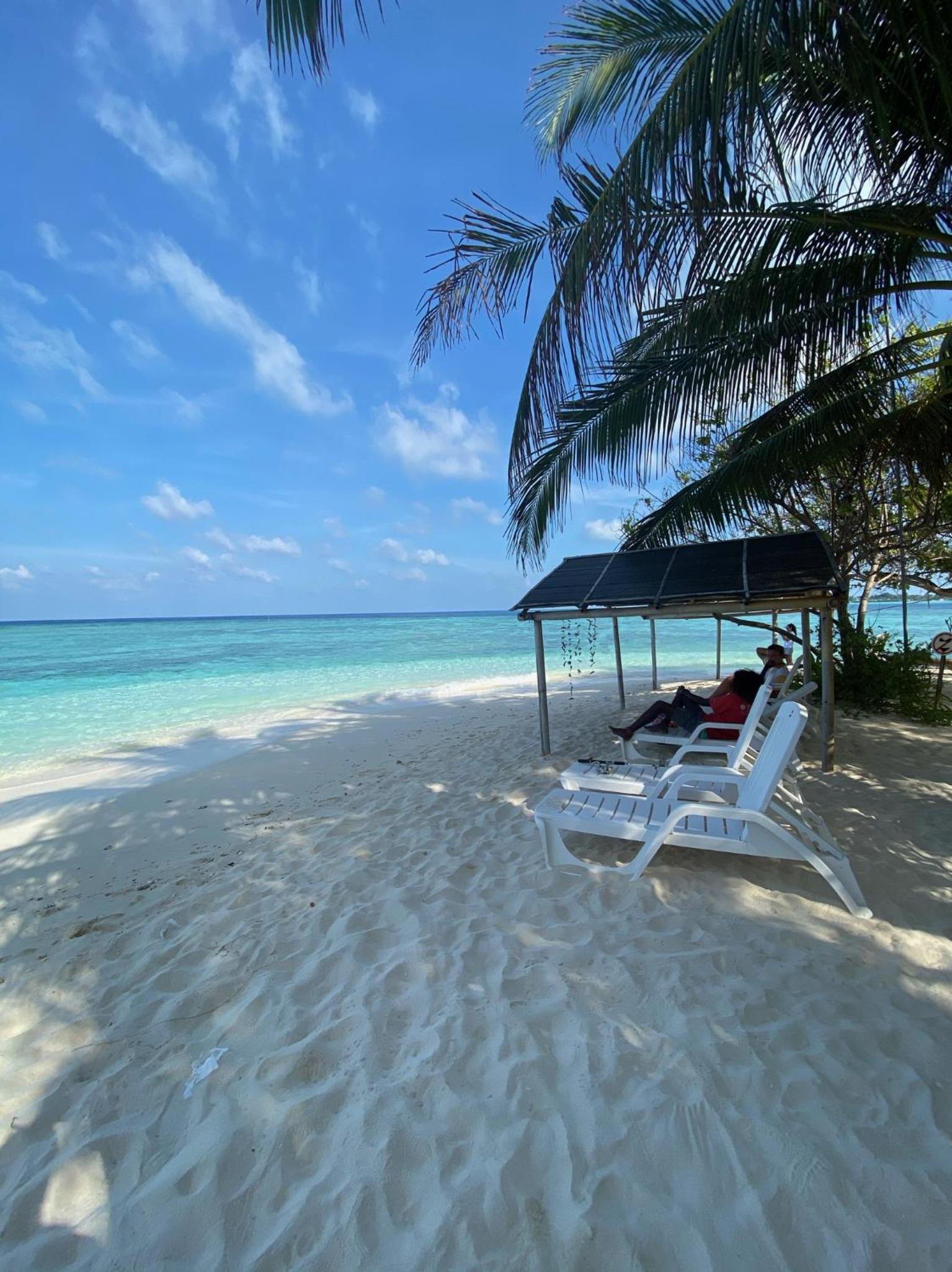Photo 87