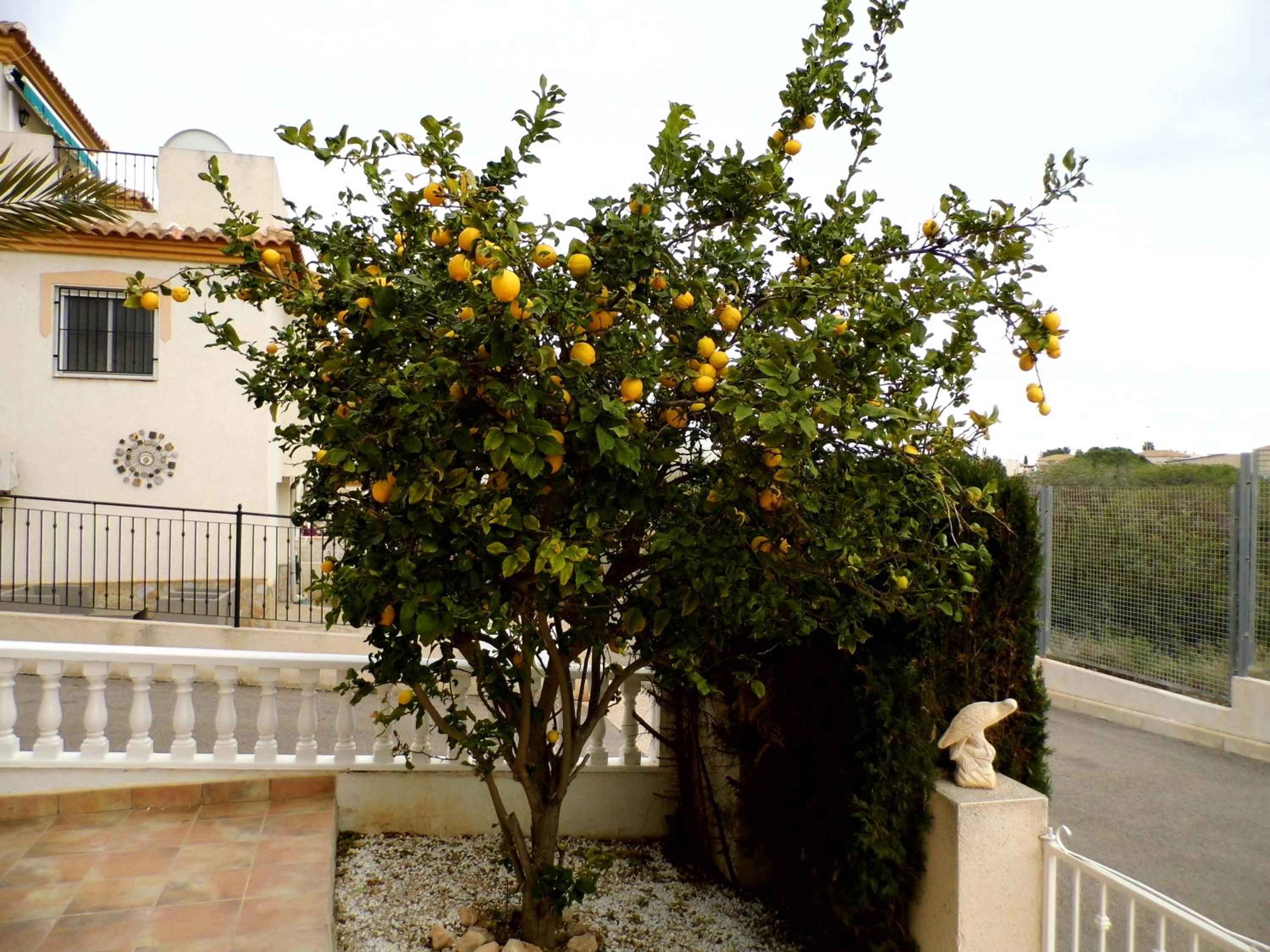 Villa Flamenca - 10 sleeps view 4