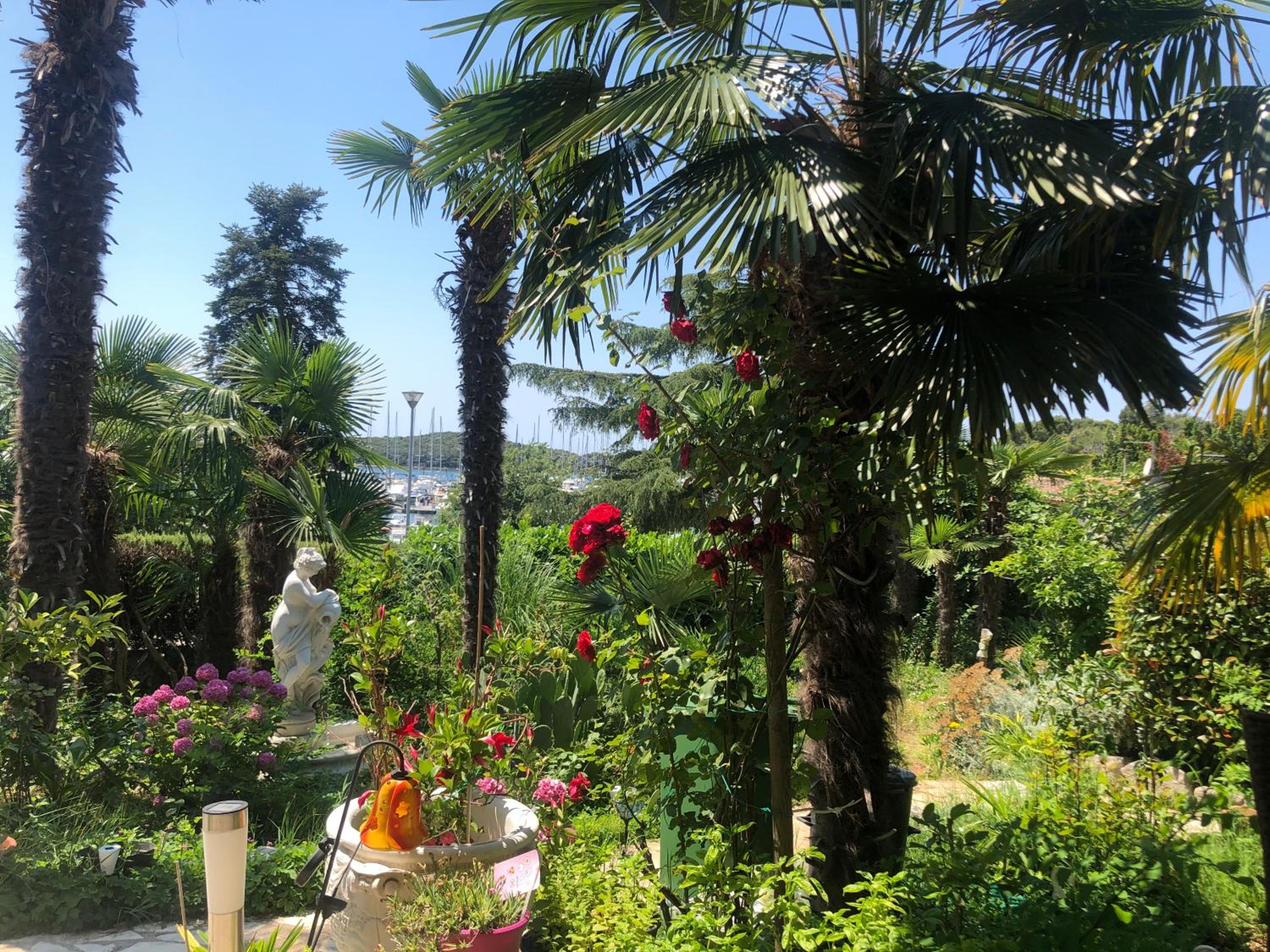 Villa Marija view 2