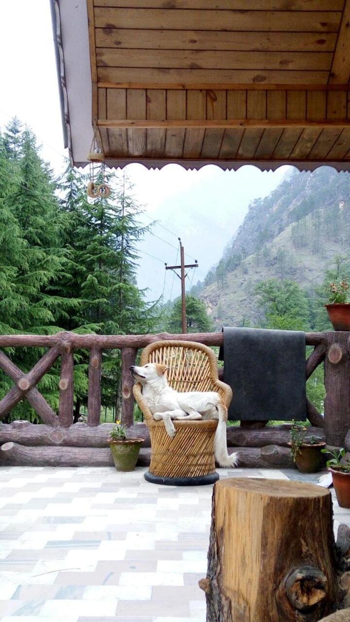 Vamoose Colonels Dacha view 2