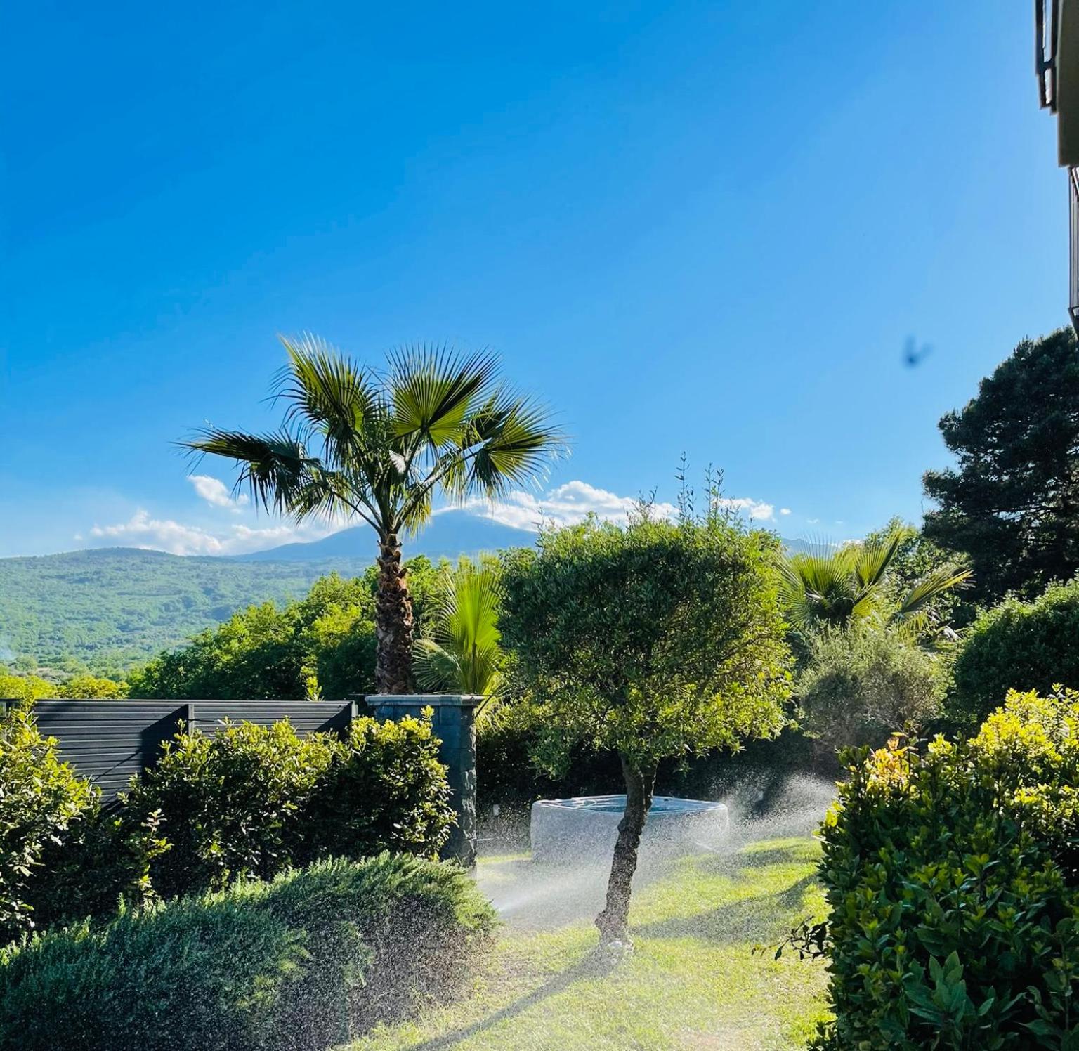Photo 54