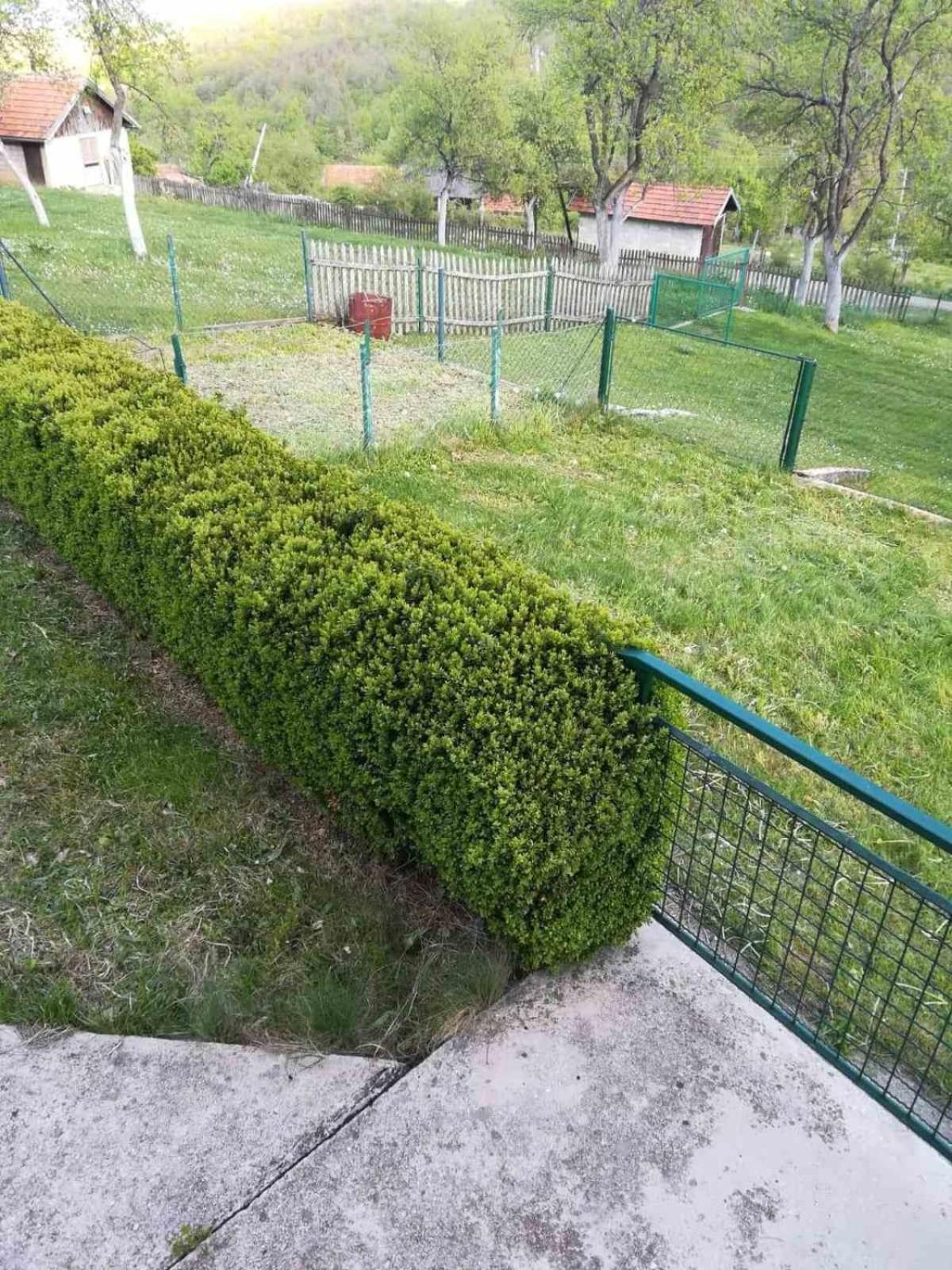 Photo 36
