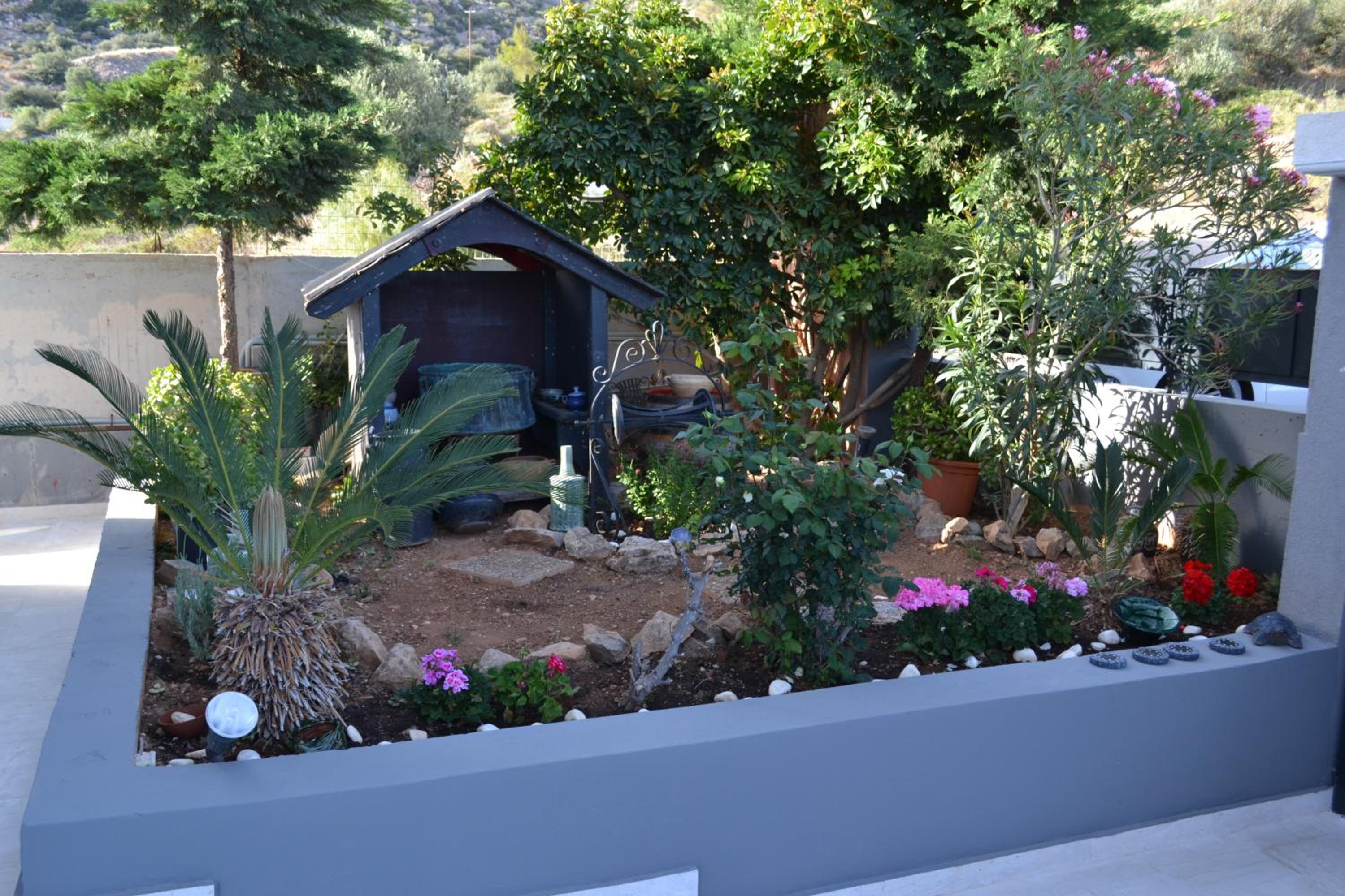 Photo 6