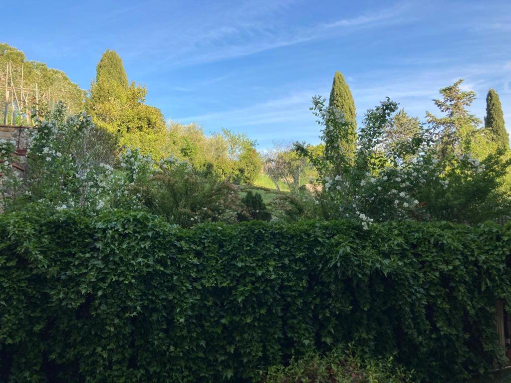 La Sosta view 5