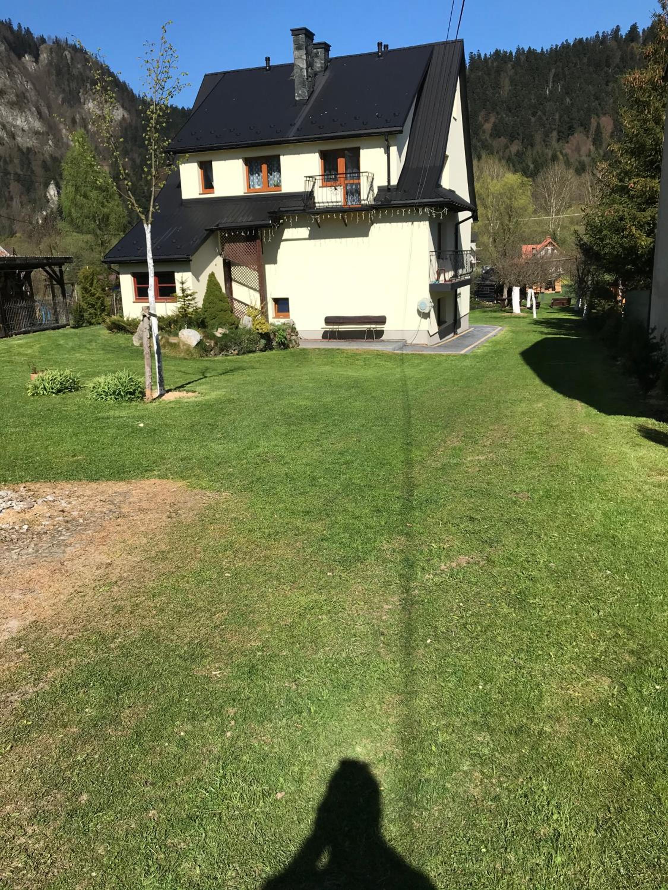 Photo 31