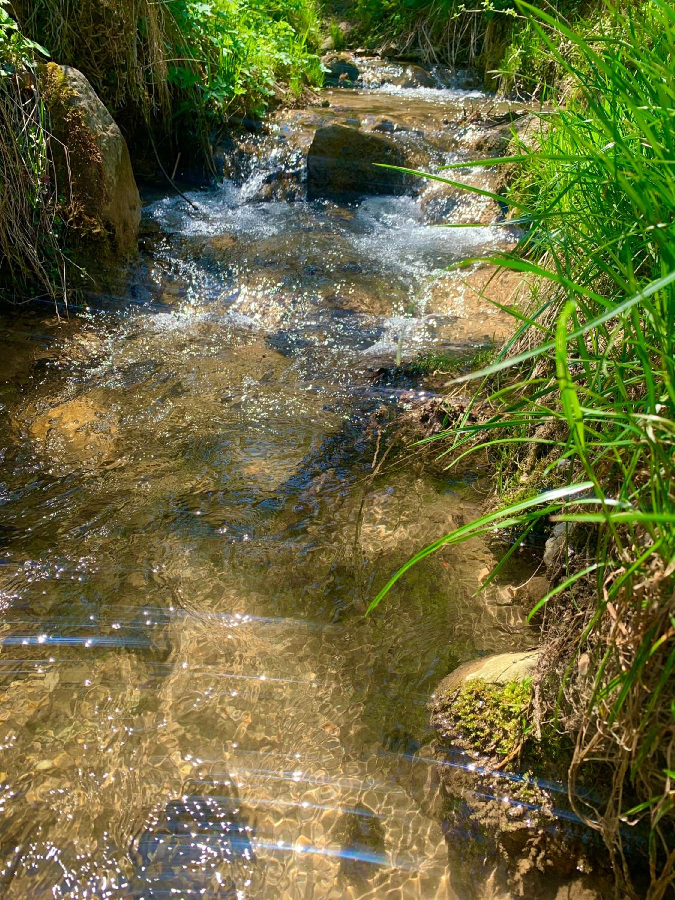 Photo 44