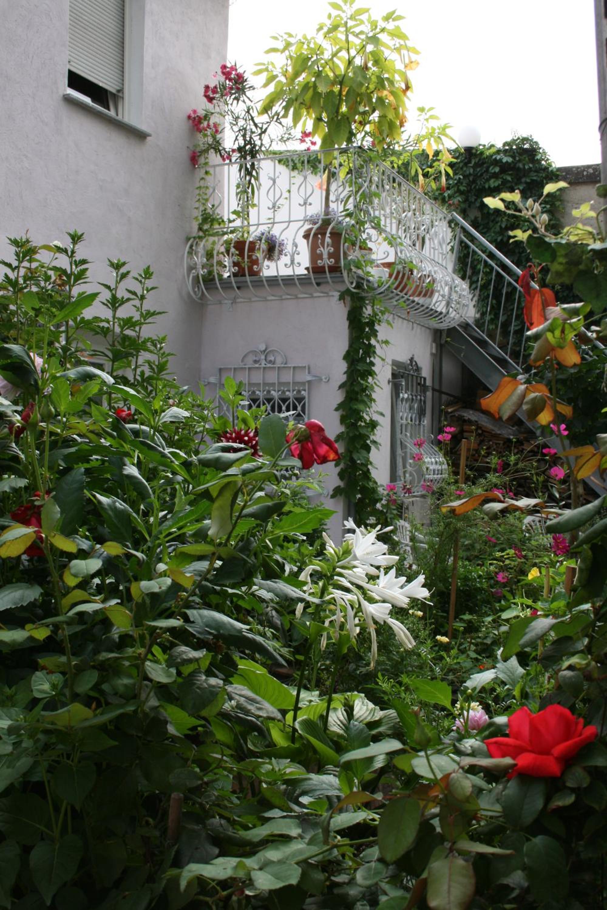 Photo 16