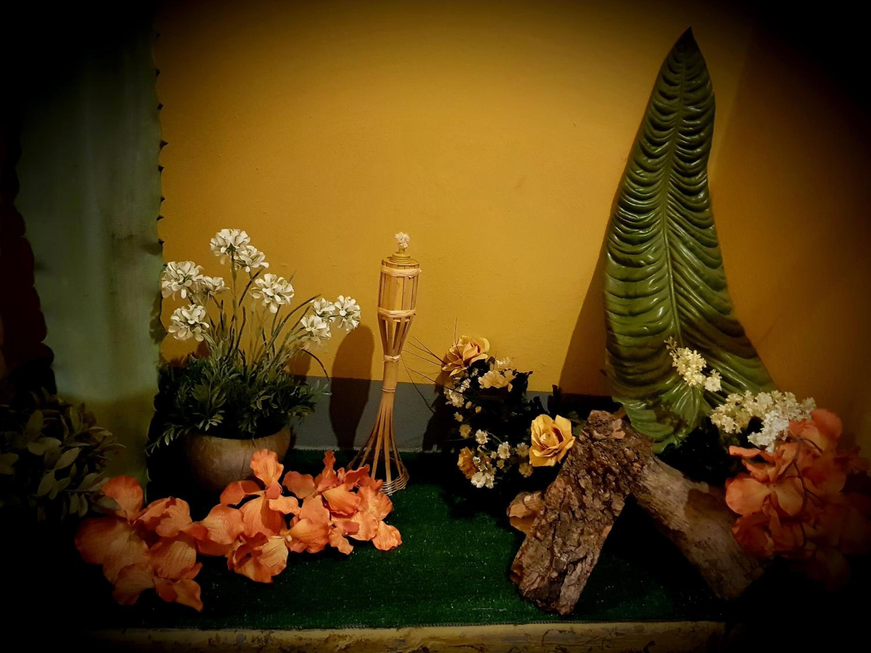 Photo 17