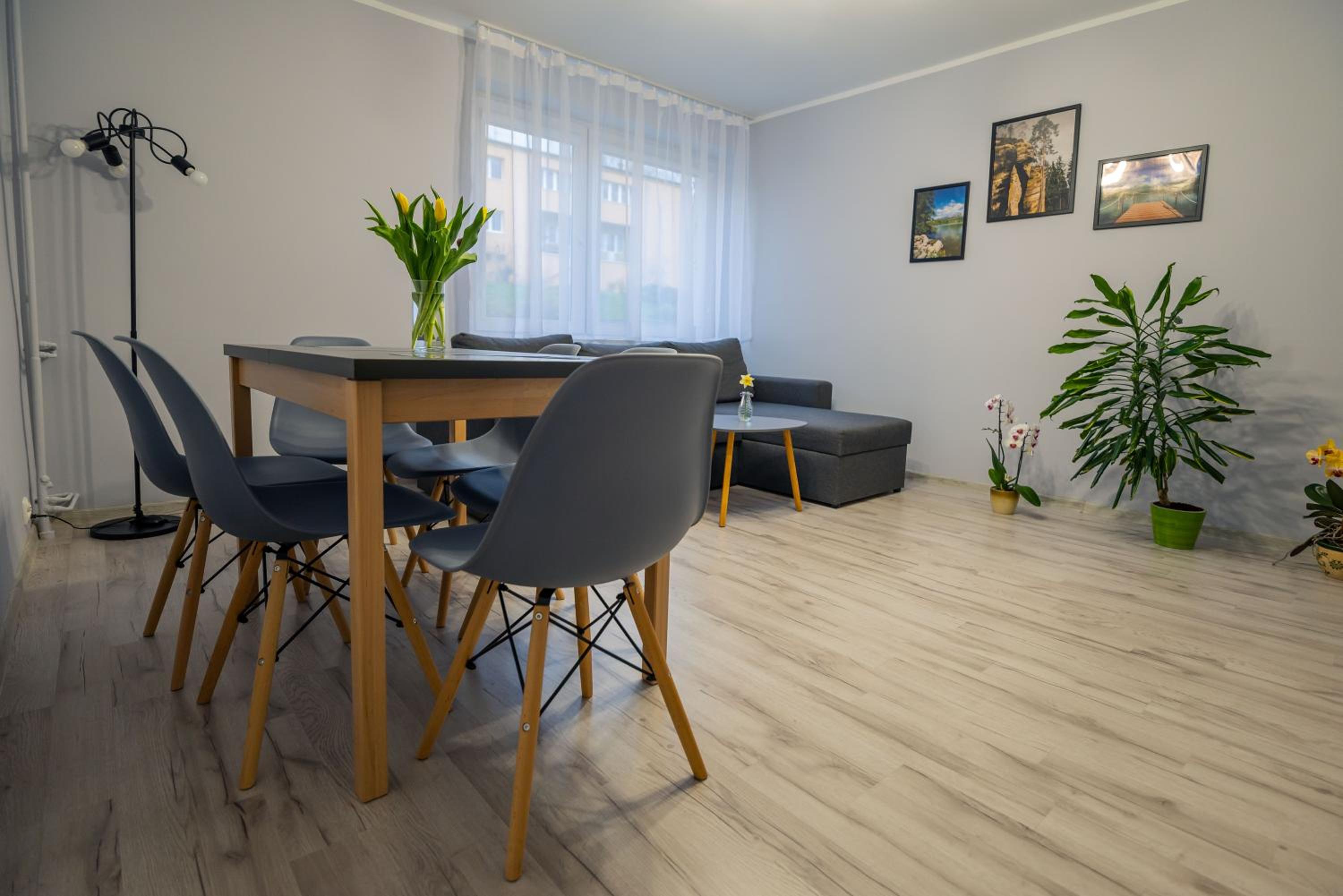 Apartament Tuzanocuj view 3