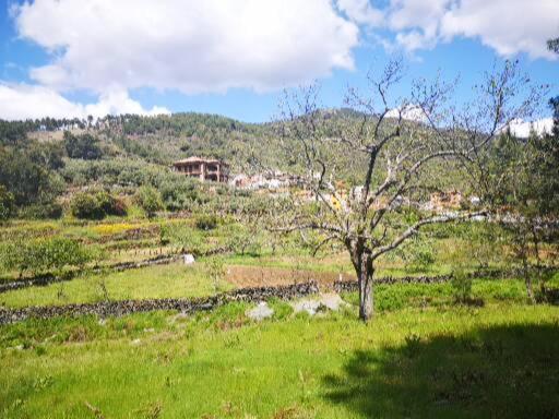 Casa Rural El Chorritero