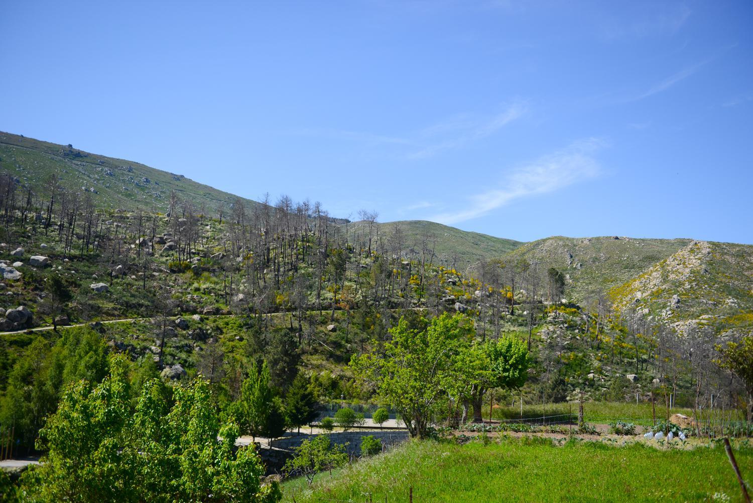 Photo 30