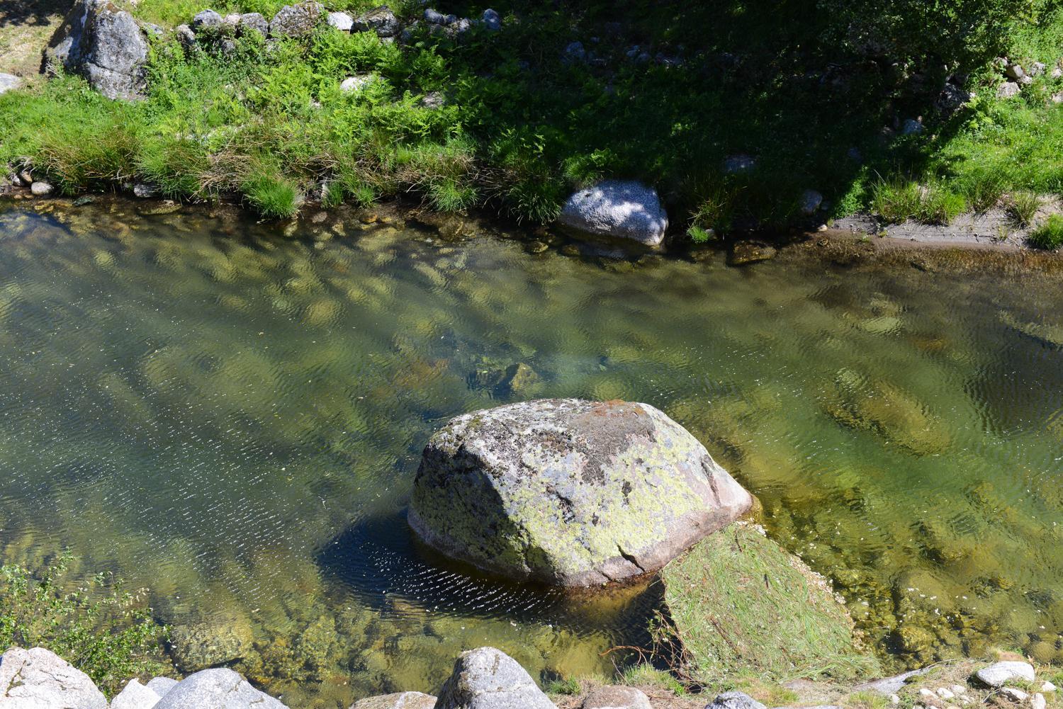 Photo 31