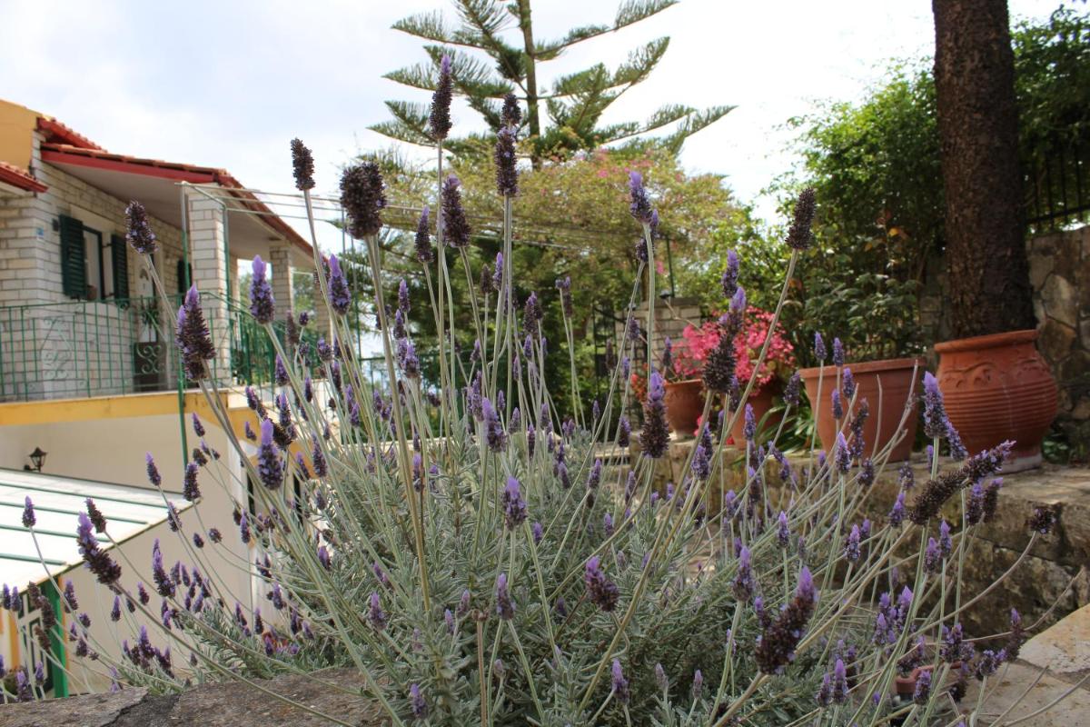 Paxos Rock Apartments photo 5