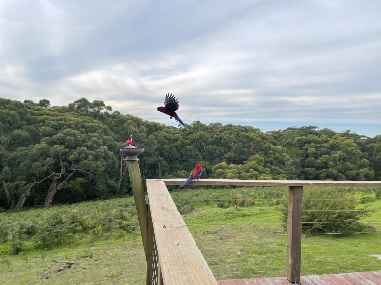 Illangi Beach Retreat
