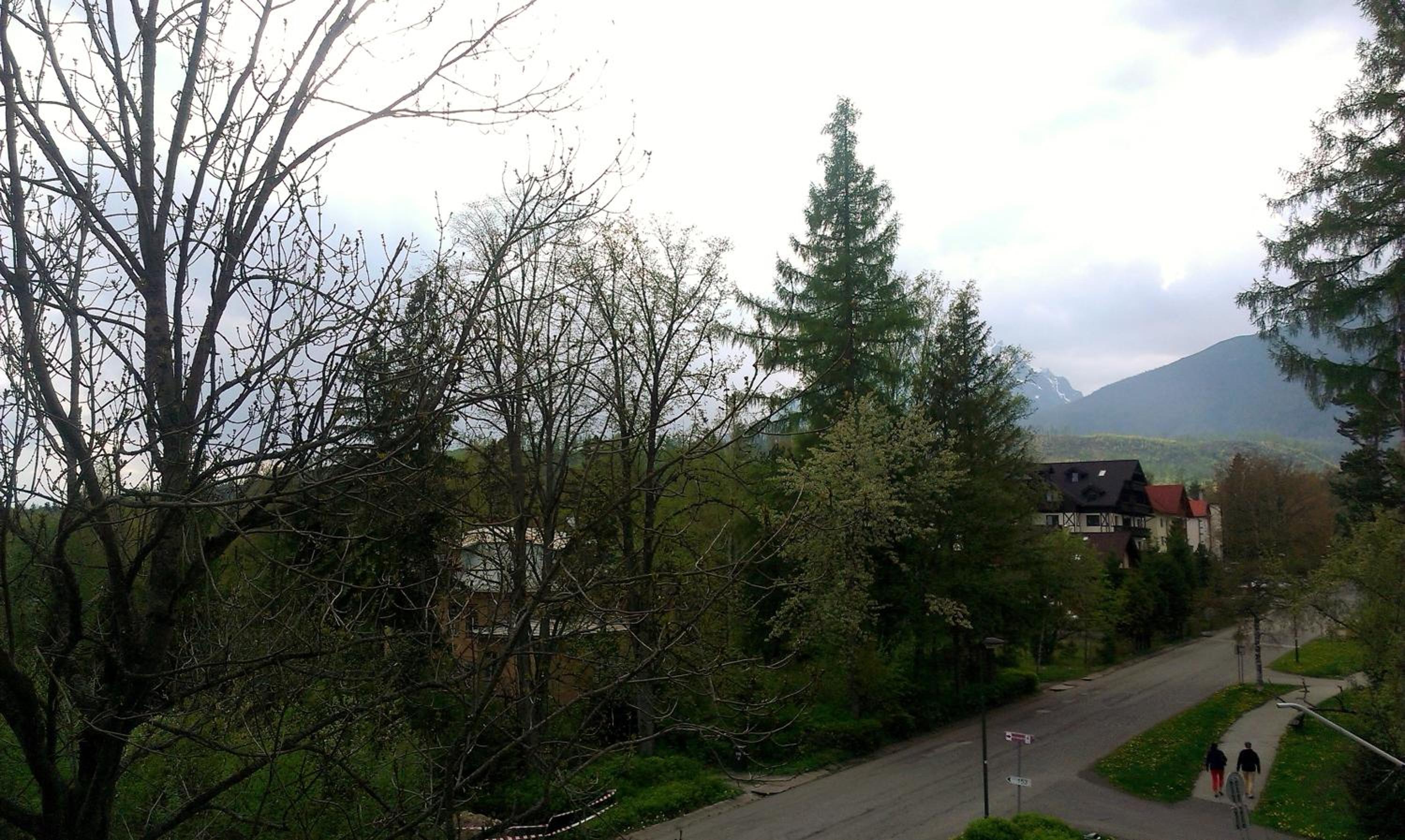 Photo 48