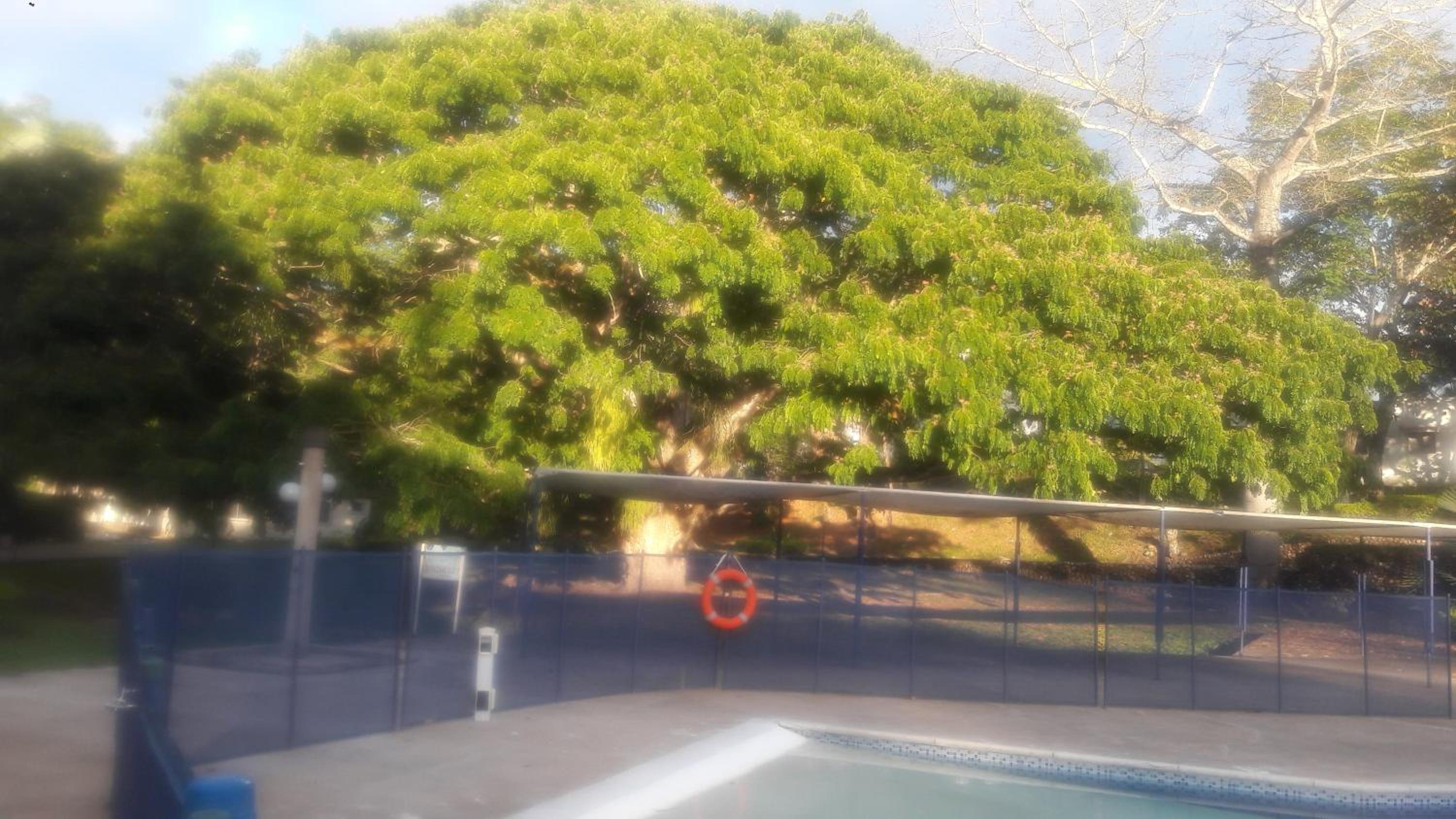 Valle lanceros Melgar